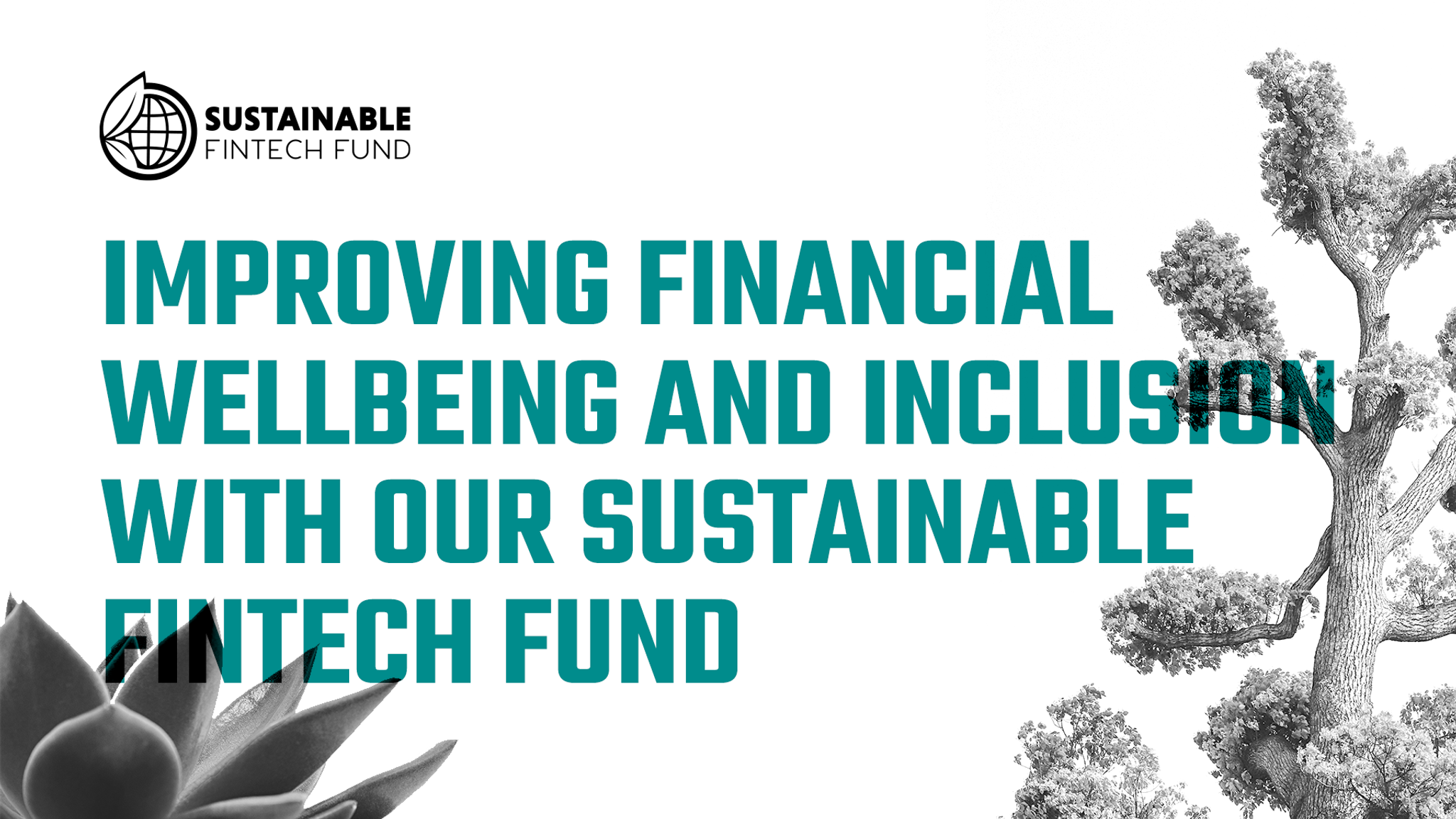 Improving Financial Wellbeing and Inclusion with our Sustainable Fintech Fund
