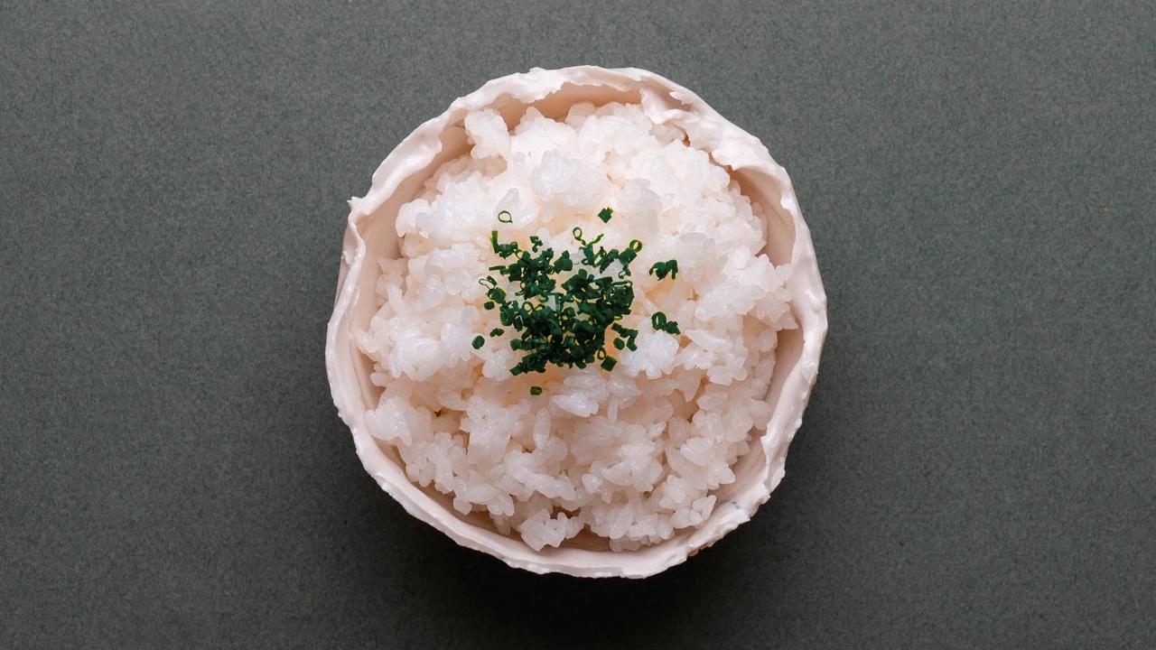 Quel riz pour sushi ? Le guide Matsuri