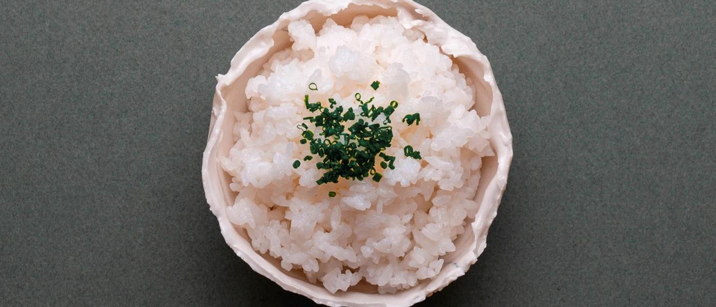 Quel riz pour sushi ? Le guide Matsuri