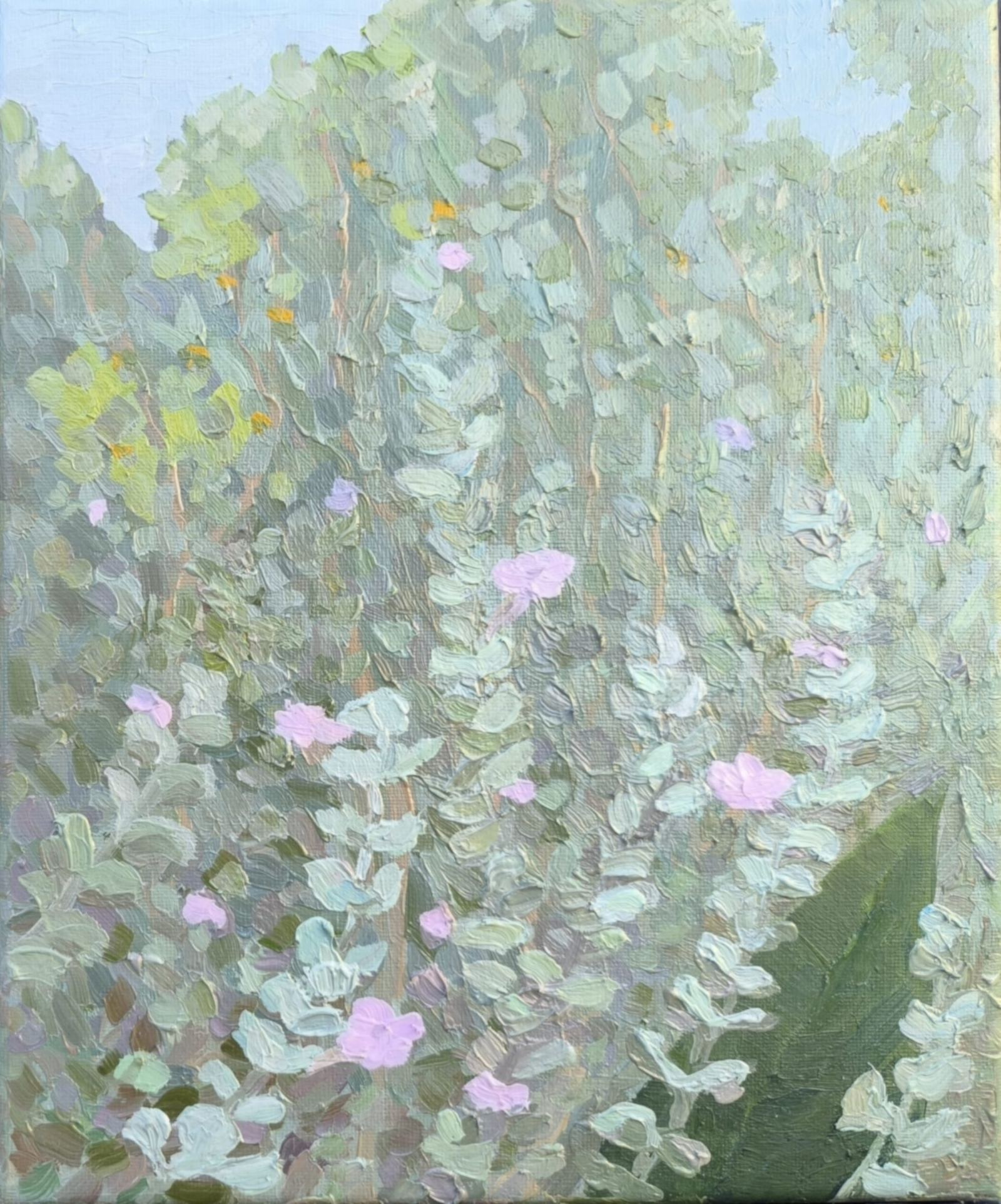 דברים קטנים, oil jn canvas, 25 × 35 ס״מ