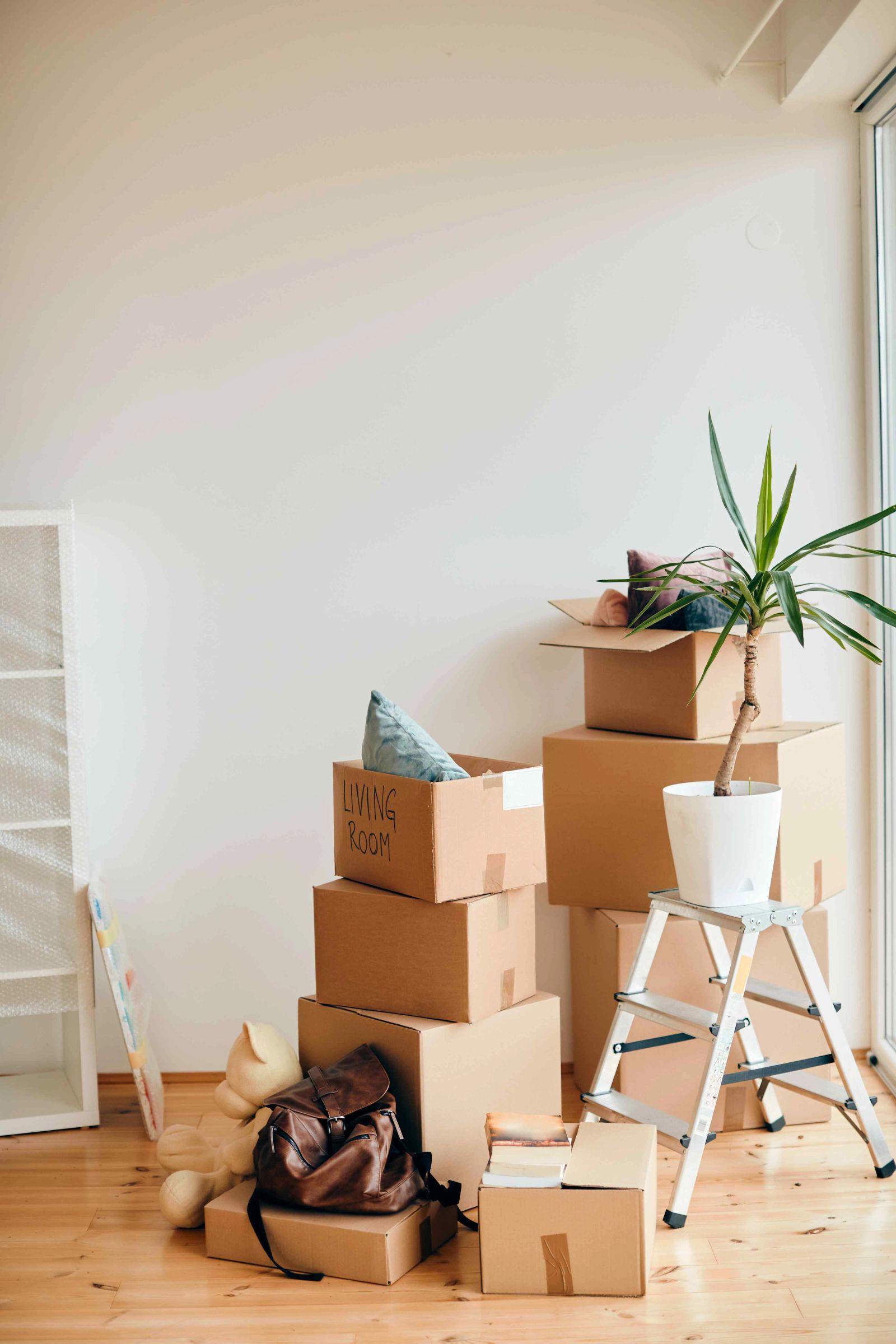 Move-In & Move-Out Cleaning