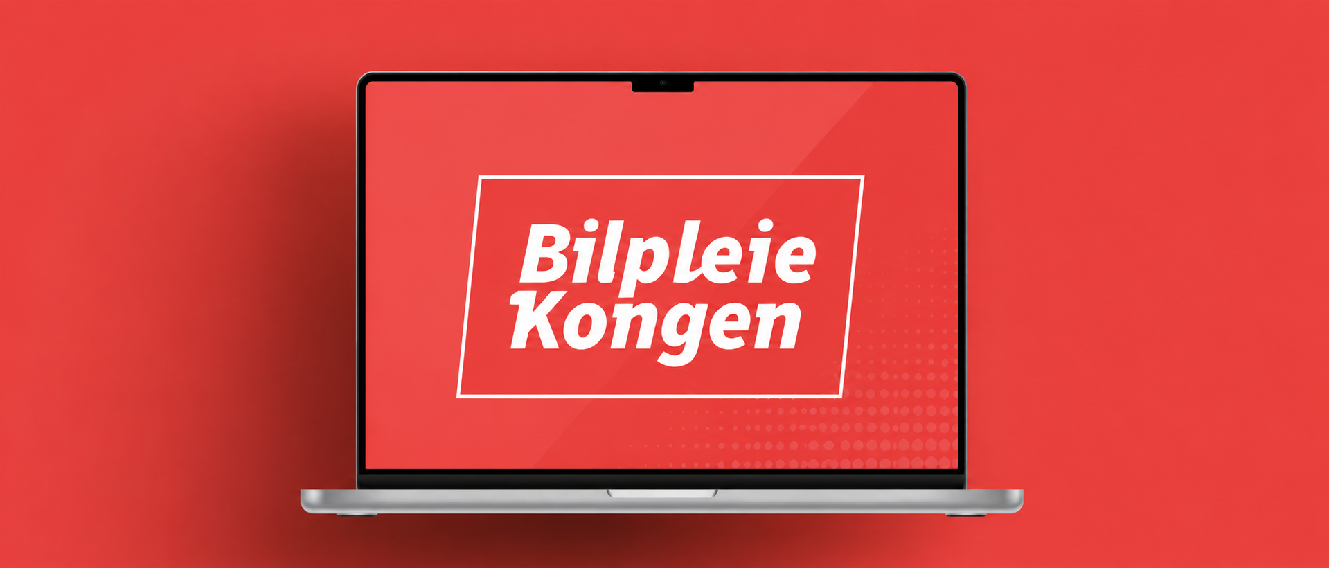 bilpleiekongen