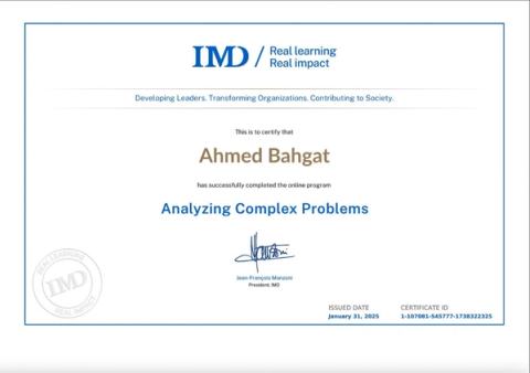 Analyzing Complex Problems — IMD Business School