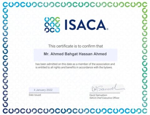 ISACA Professional Member