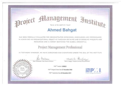 Project Management Professional (PMP)