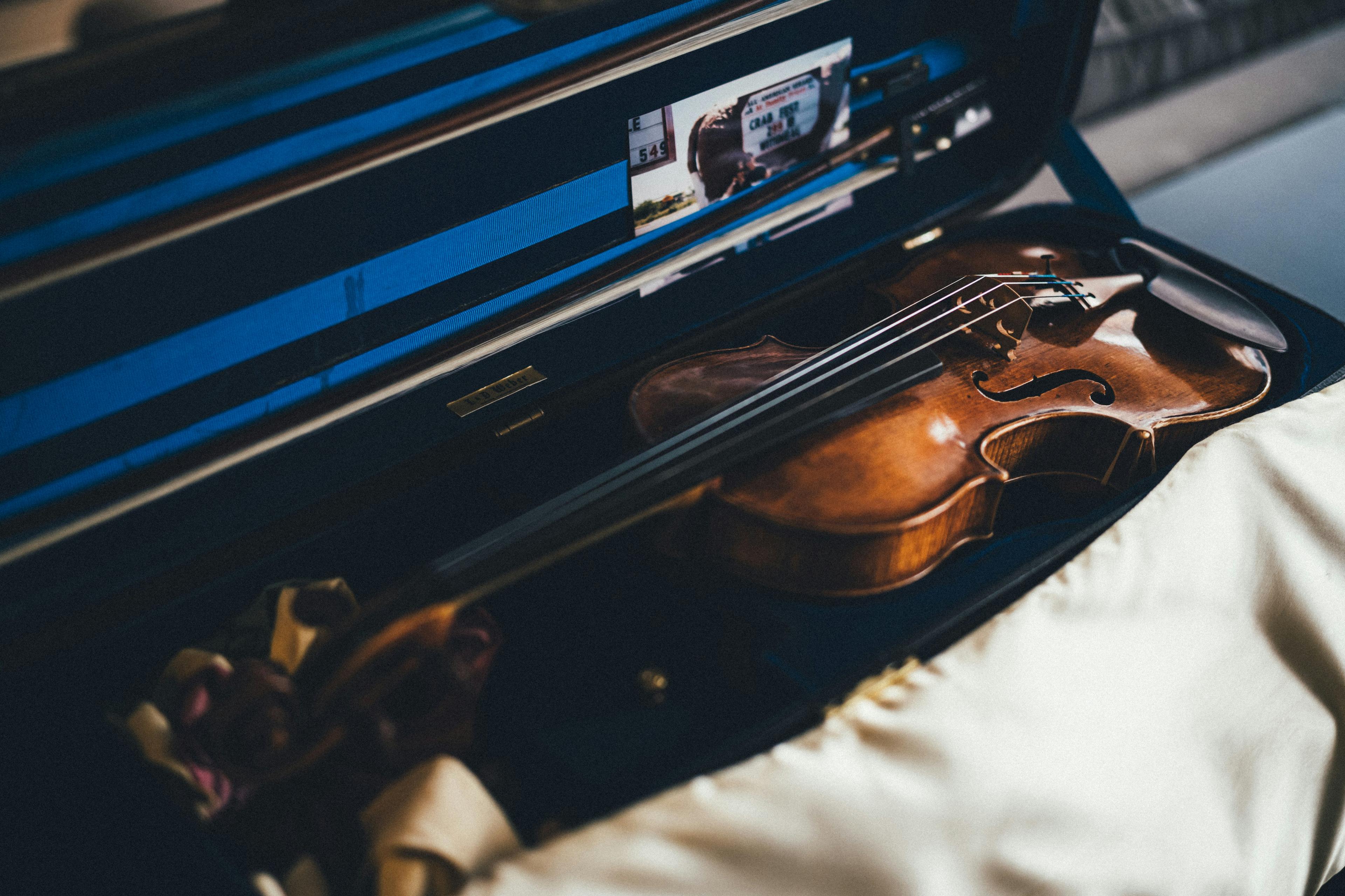 Violin and violin case