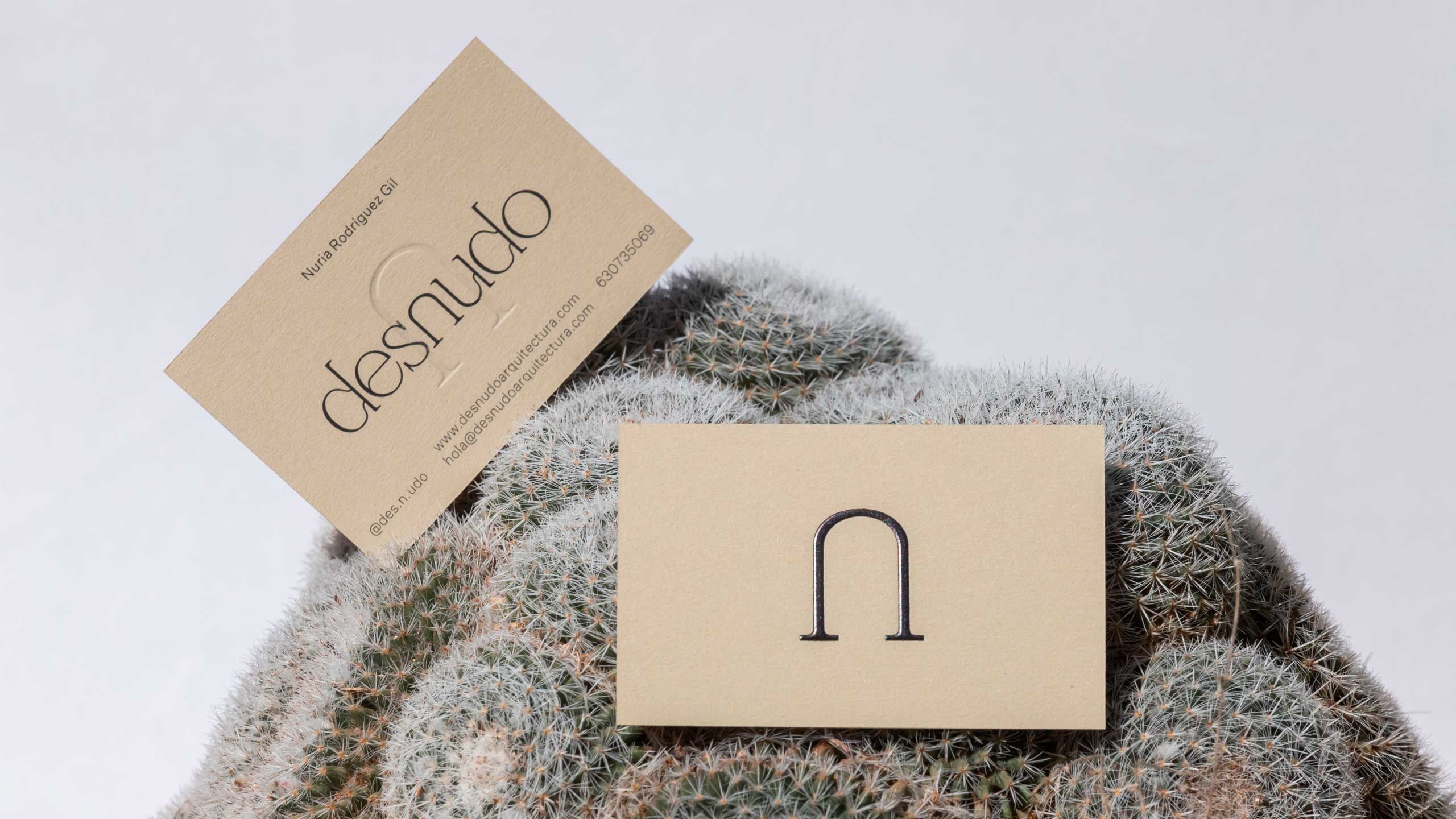 desnudo arquitectura - portada