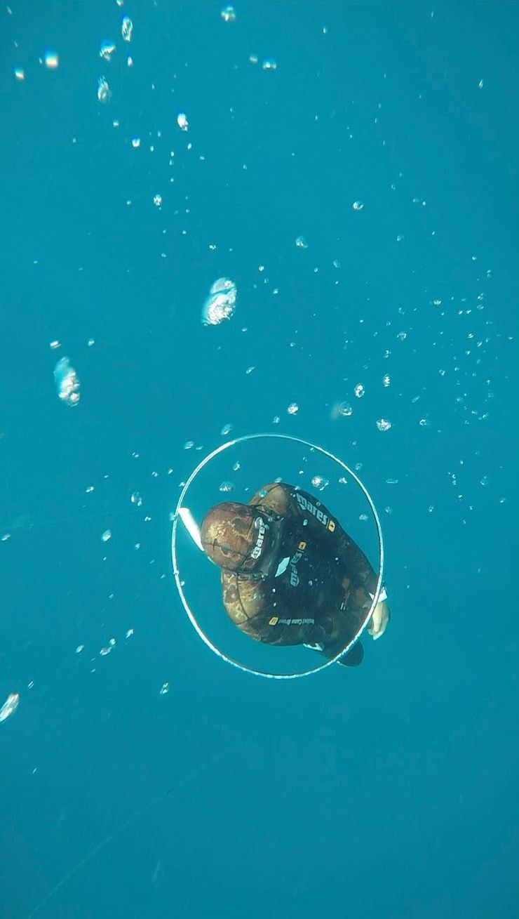A diver in a camo wetsuit descending through the blue