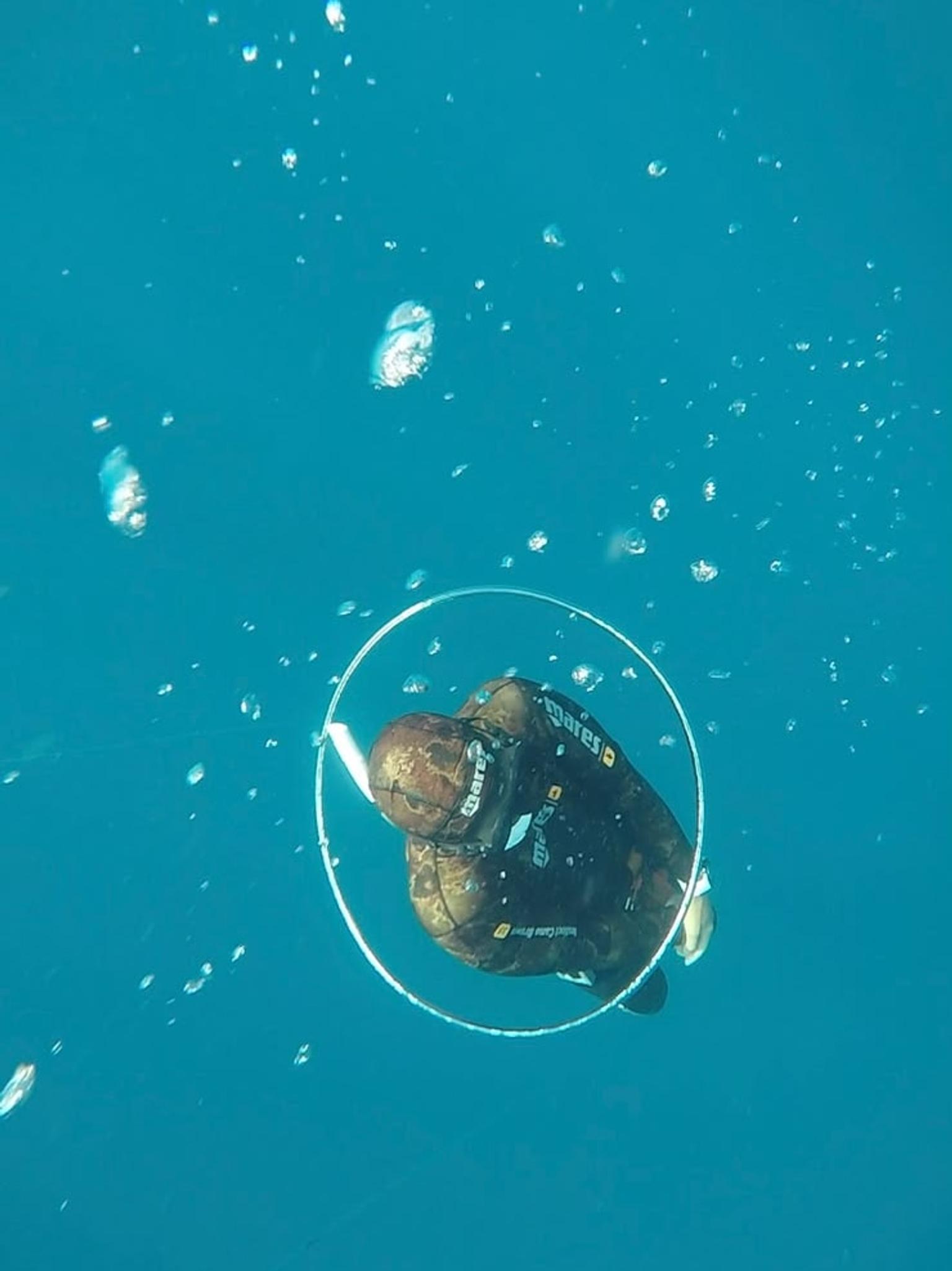 A diver in a camo wetsuit descending through the blue