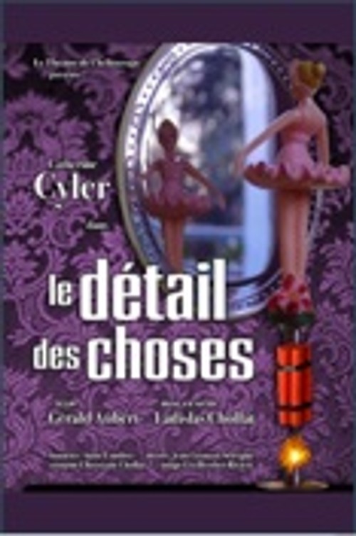 Affiche du spectacle Le Détail des Choses