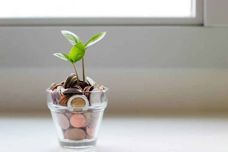 A small green plant grows in a clear glass cup filled with coins, symbolizing the financial growth and support families can receive through the Trump Child Tax Credit in 2025.