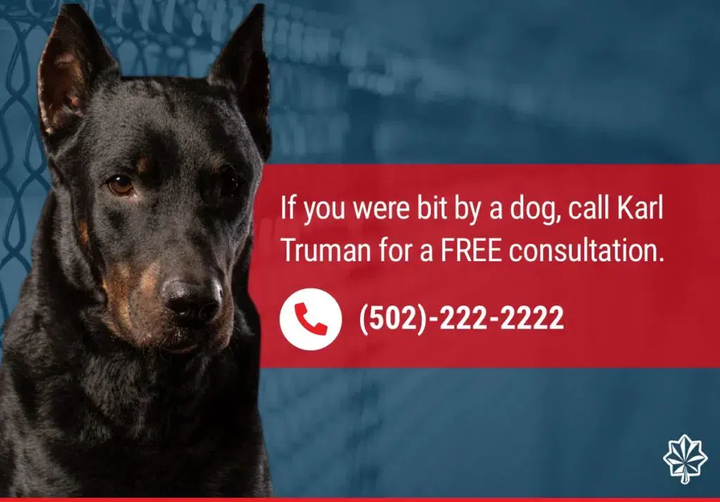 an image of a dog with some text