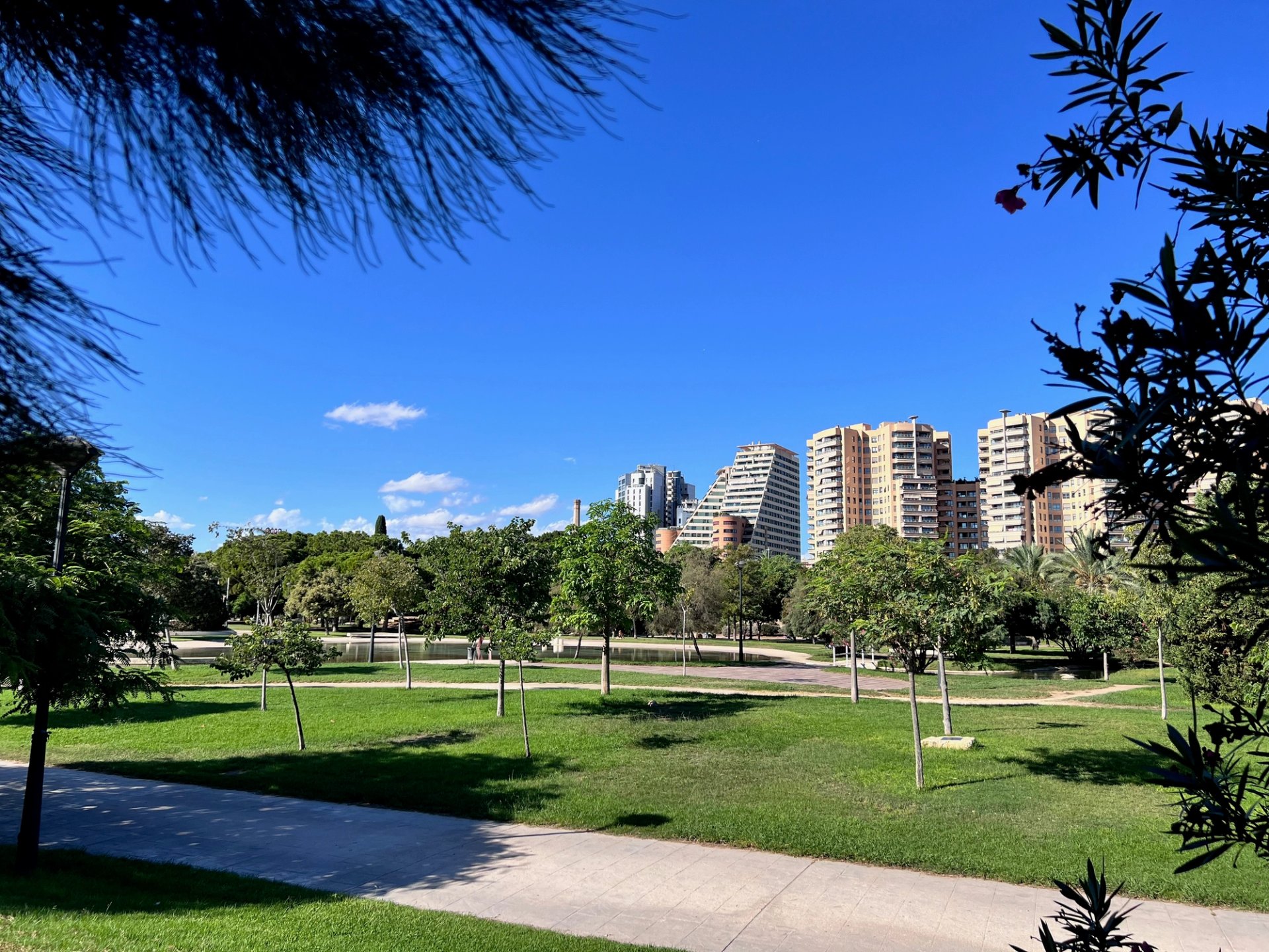 Valencia: Europe's new expat metropolis – Statistics & Opportunities 2025