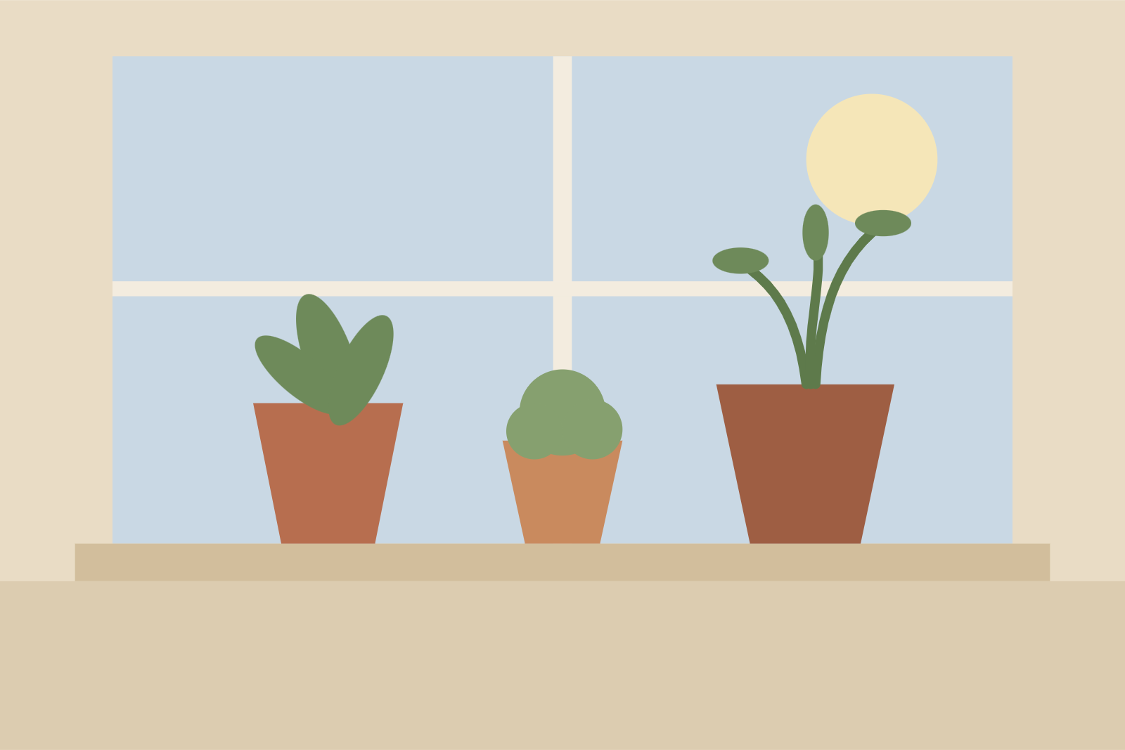 Three potted plants on a sunny windowsill.