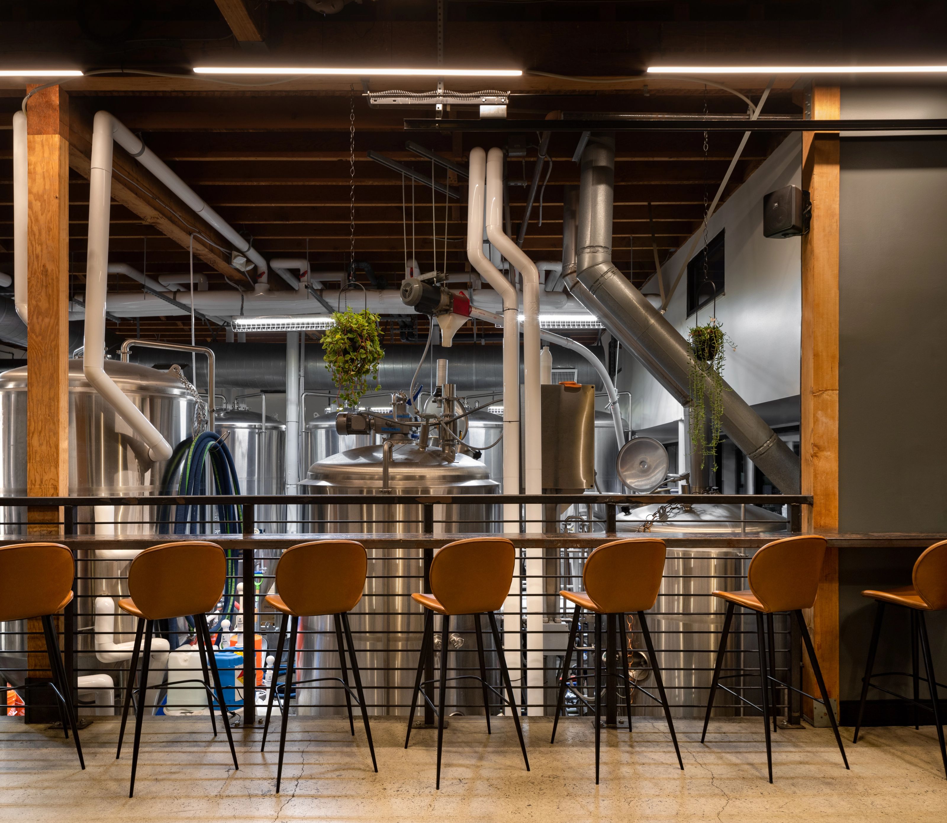 GOAL Brewing — brewery, retail and lounge, Rosarito
