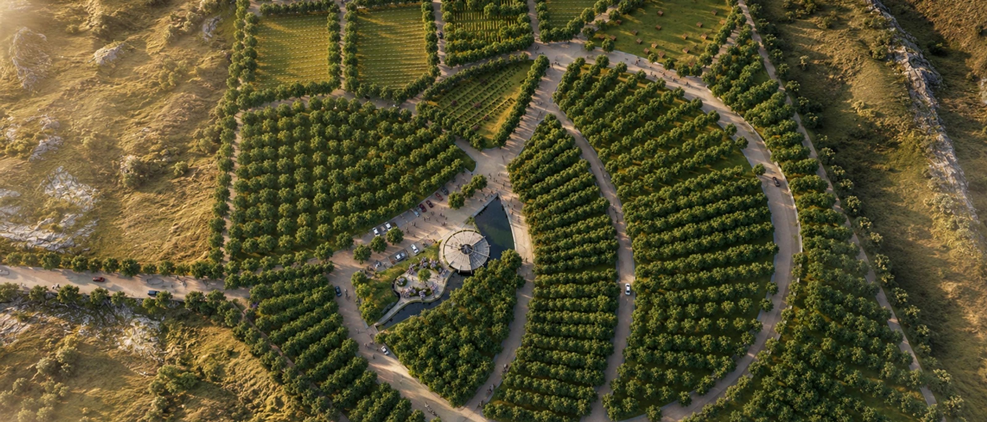 Ecological Cemetery — master plan on the existing contours