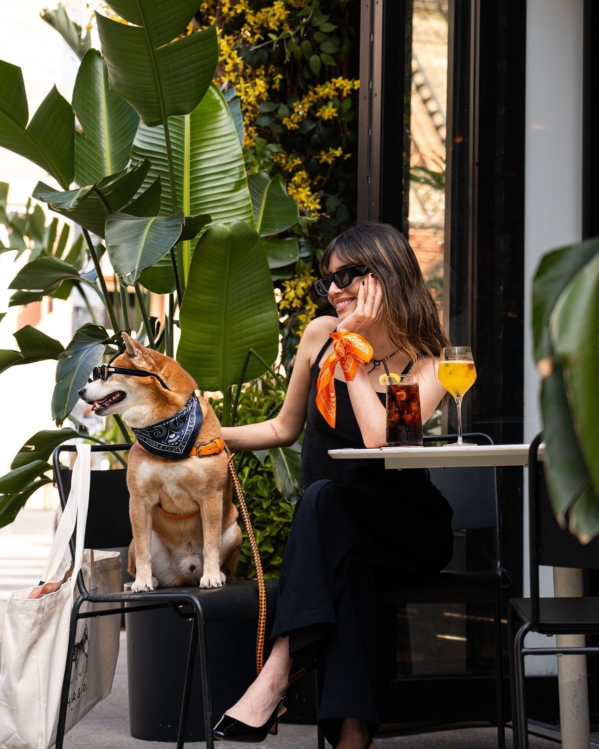 Dog lounging beside its owner on a porch