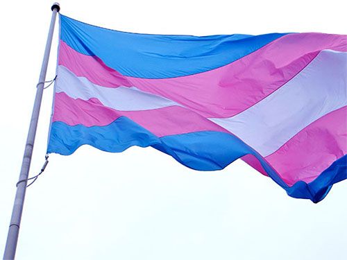Le drapeau trans