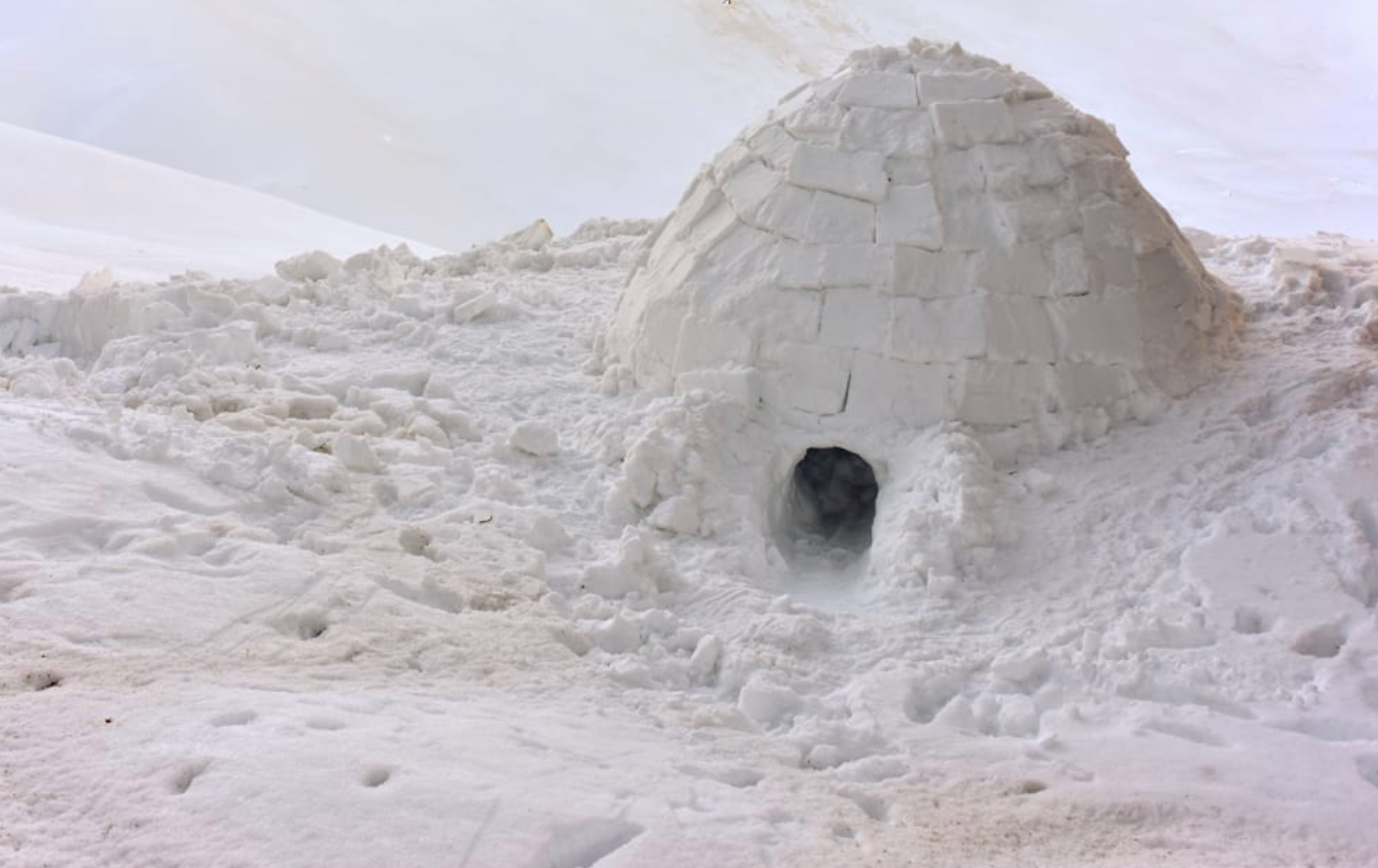 Out Cold A Night Spent in an Igloo The Lausanne Guide