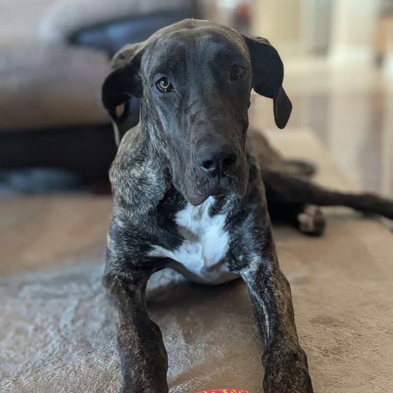 Chloe