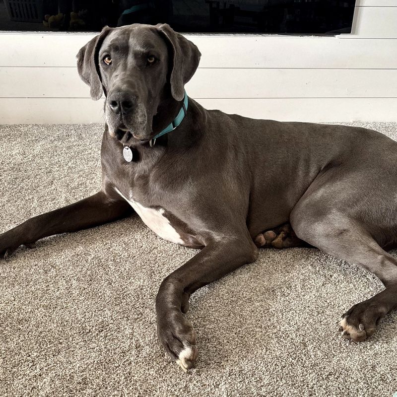 Oakley