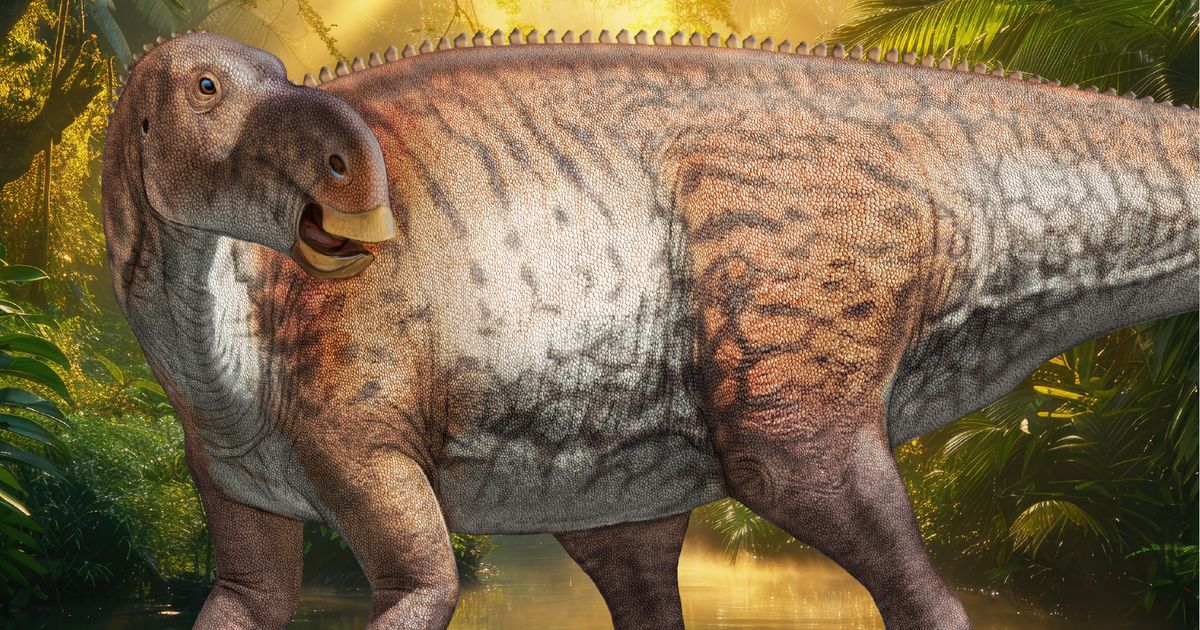Hadrox Image Hadrosaurus