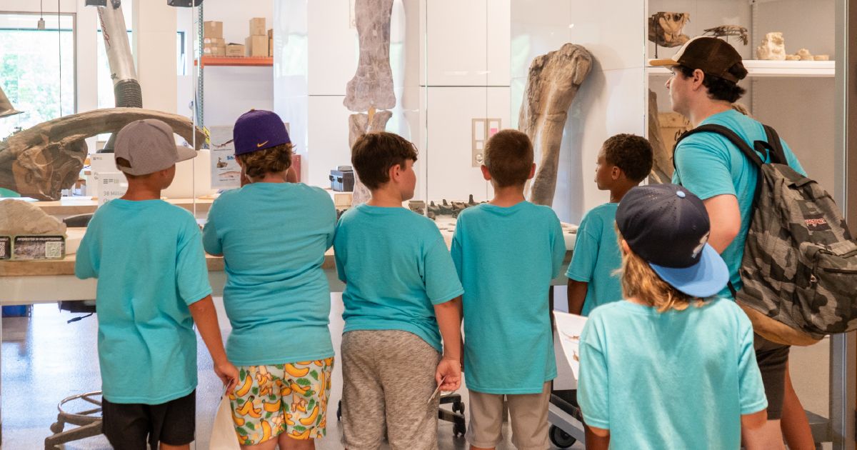 Edelman Fossil Park and Museum group visit image