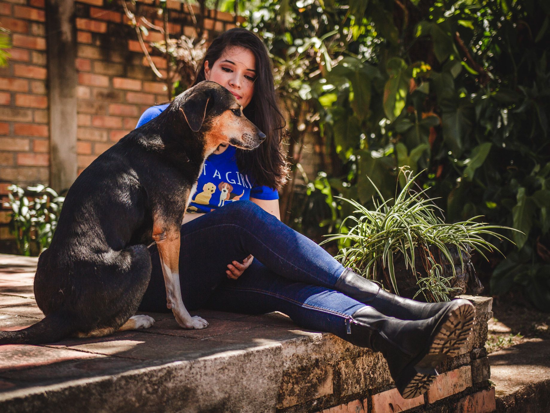 Criterios para escoger al veterinario de tu animalito