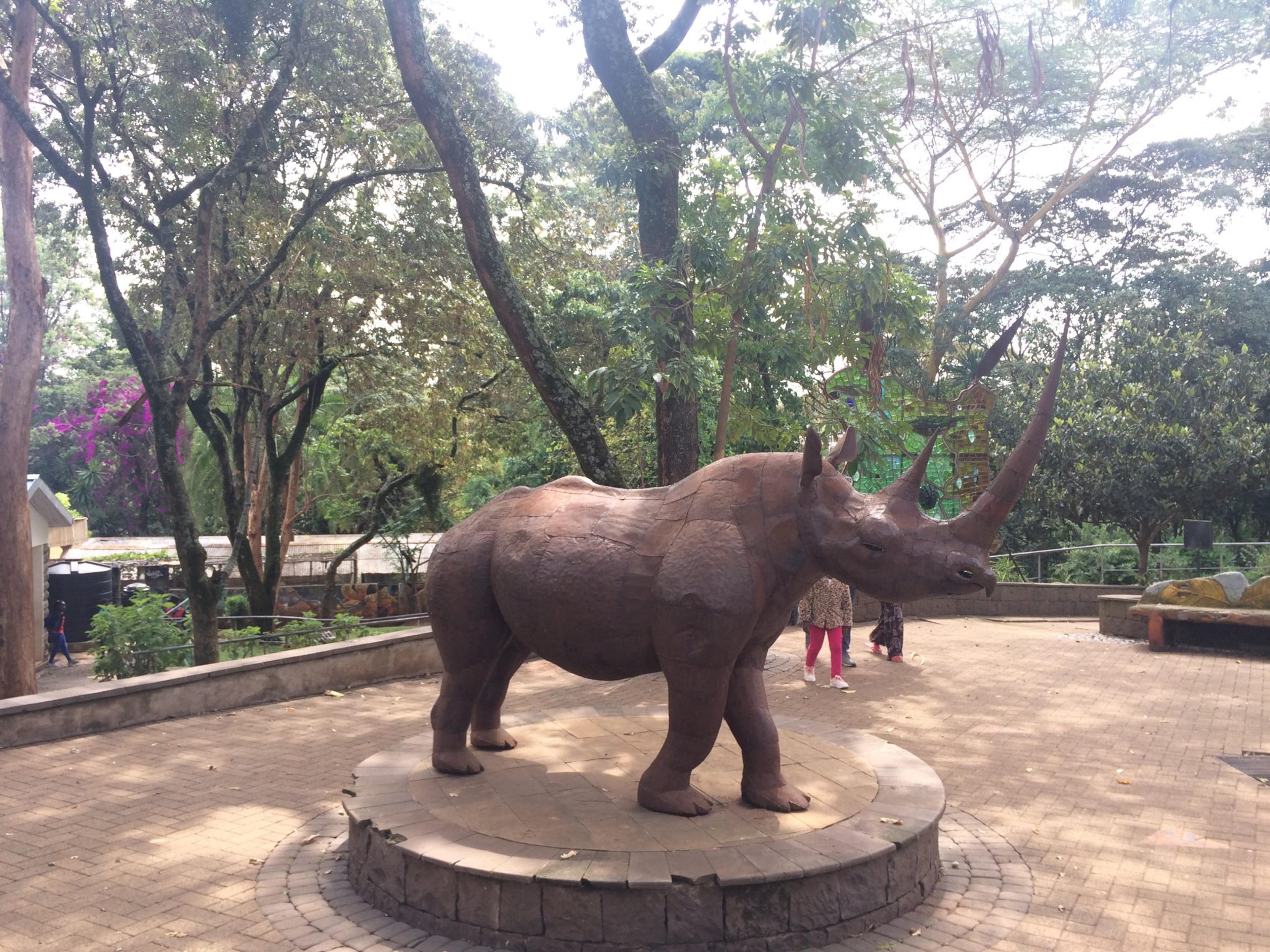 rhino