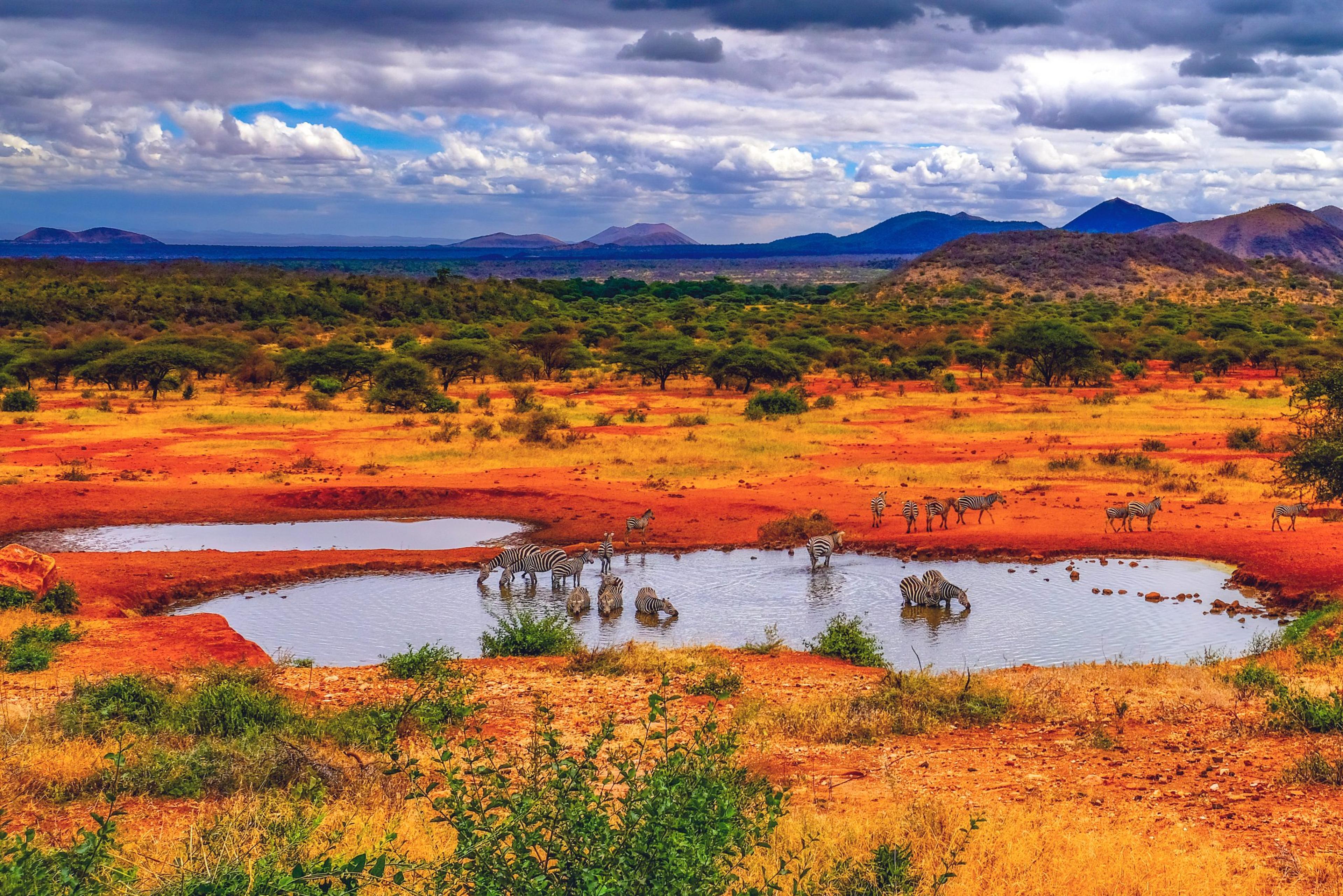 tsavo