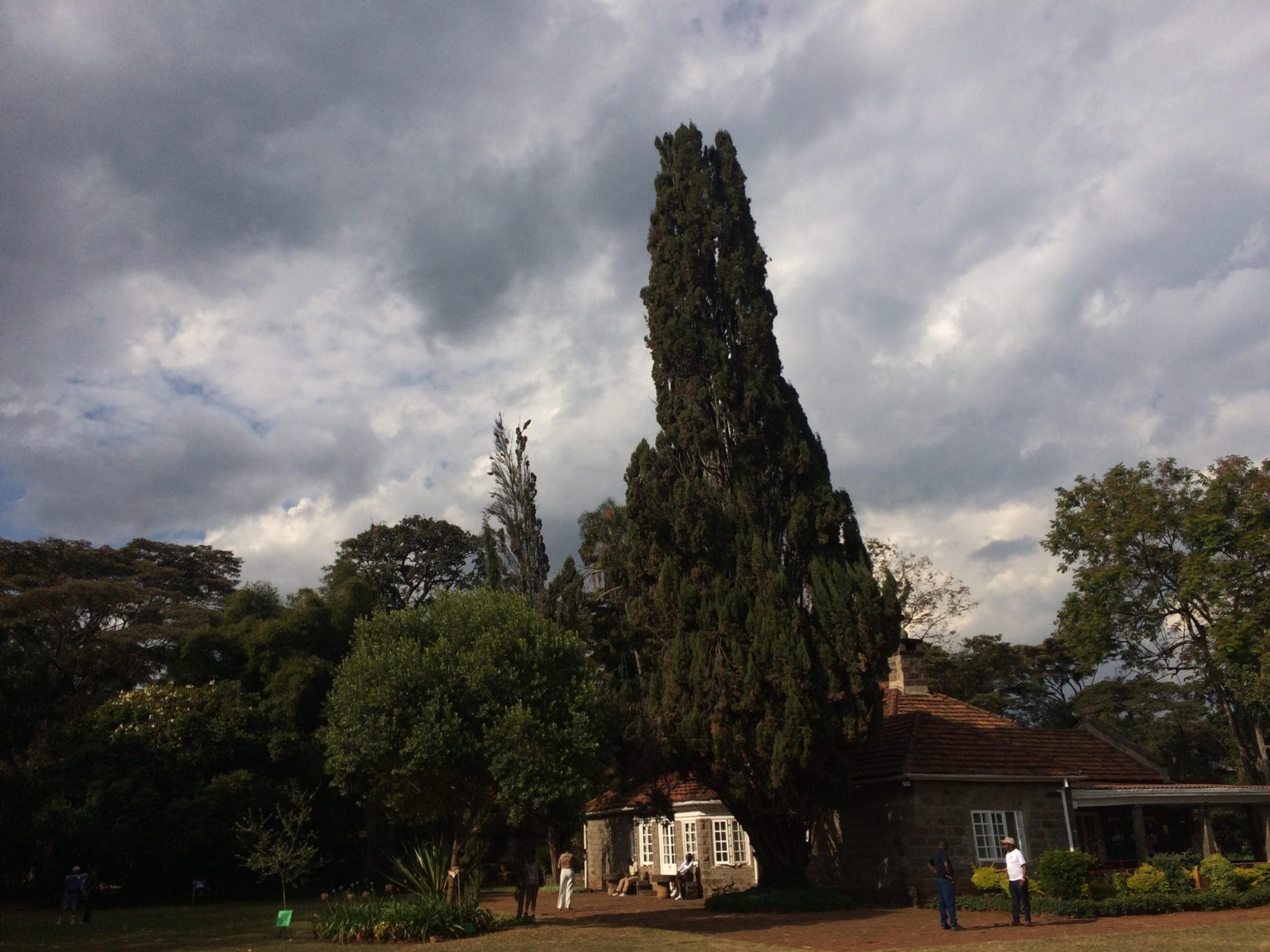 karen blixen