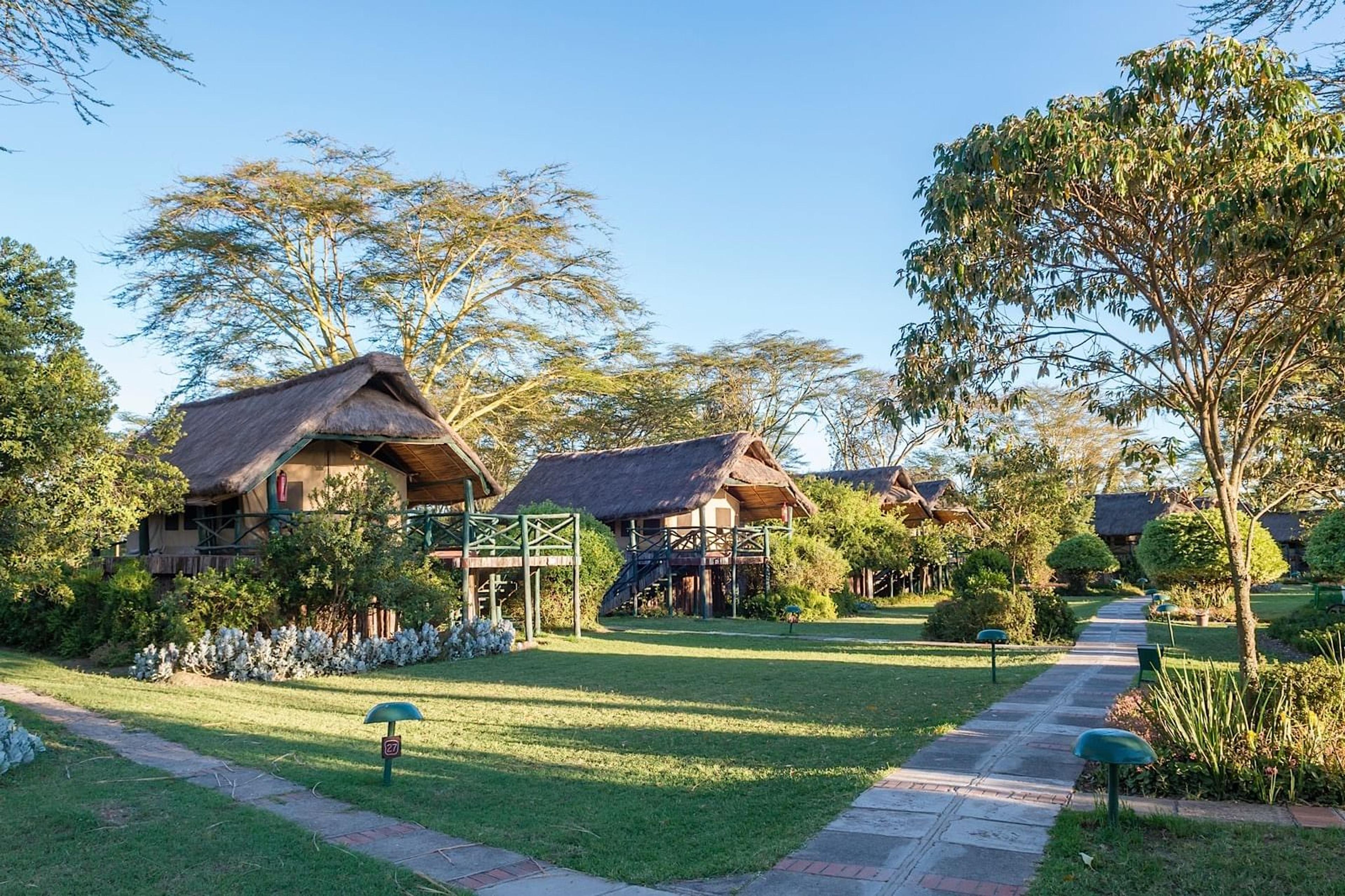 Safaris Hub — Pathway card 2 — Kendirita Tours and Travel