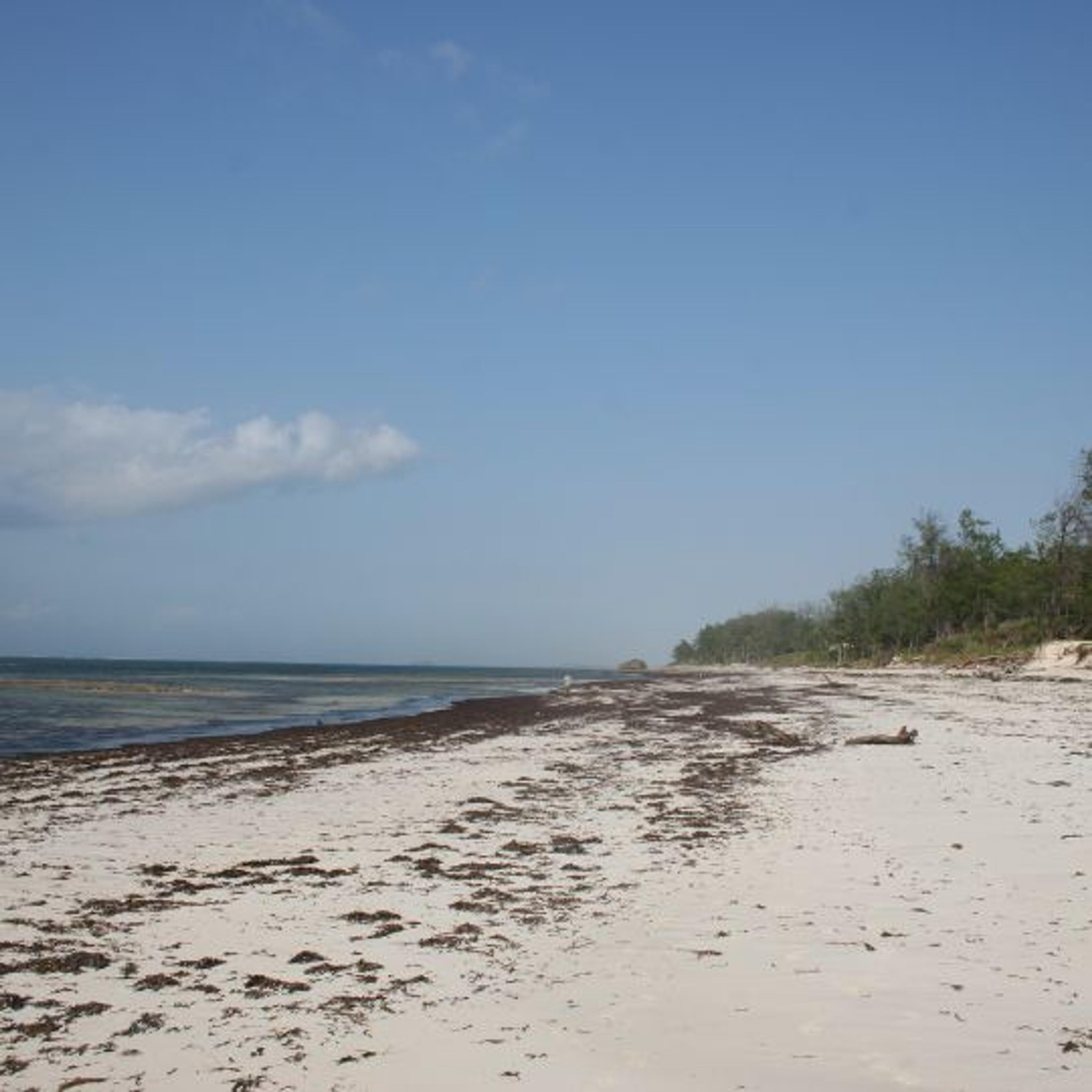 watamu