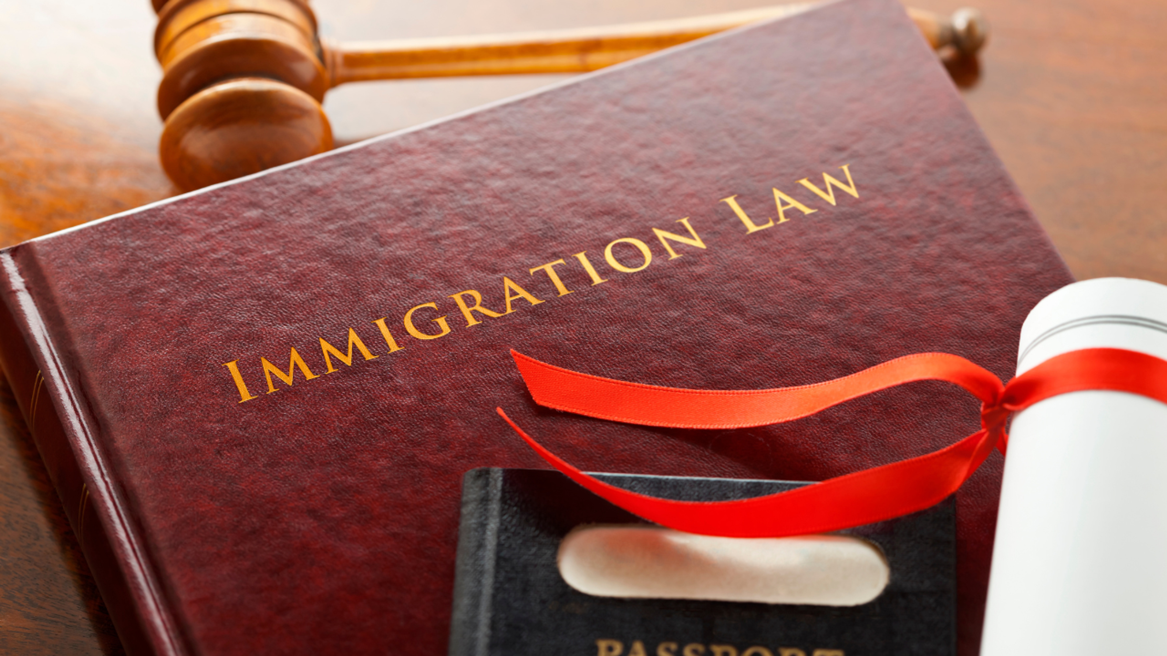 immigration law