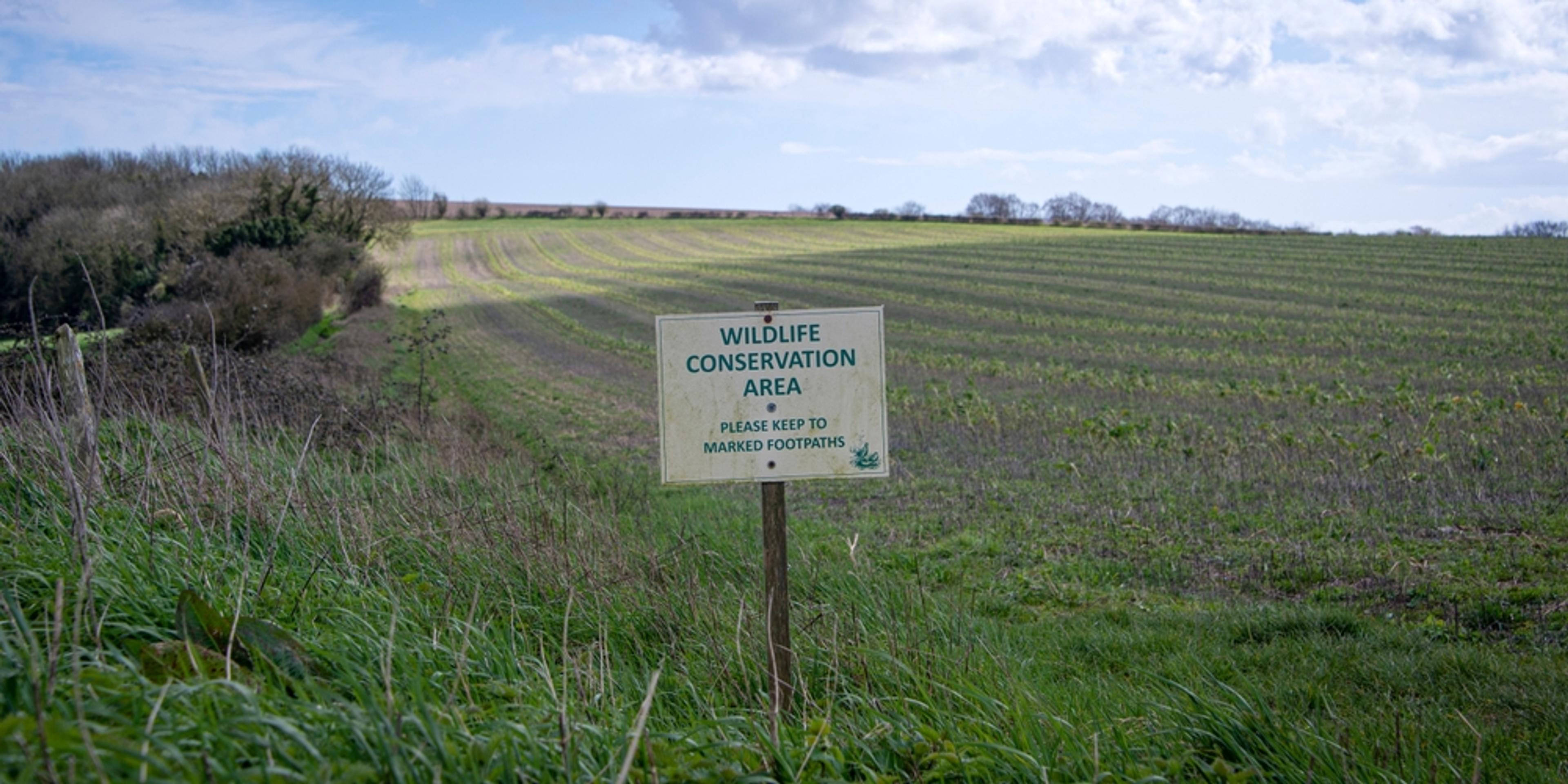 conservation wildlife