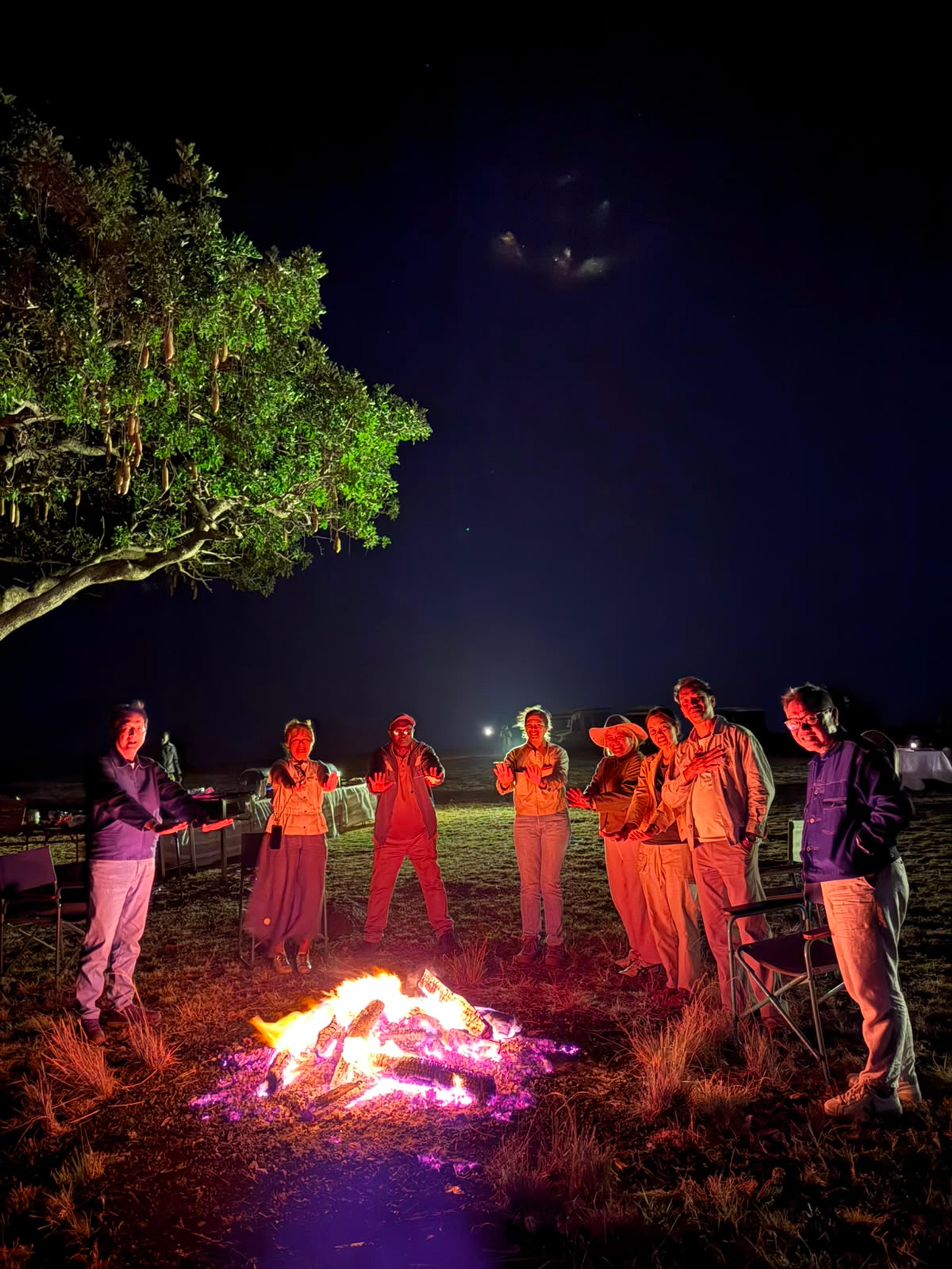 Campfire Gathering Beneath the Stars