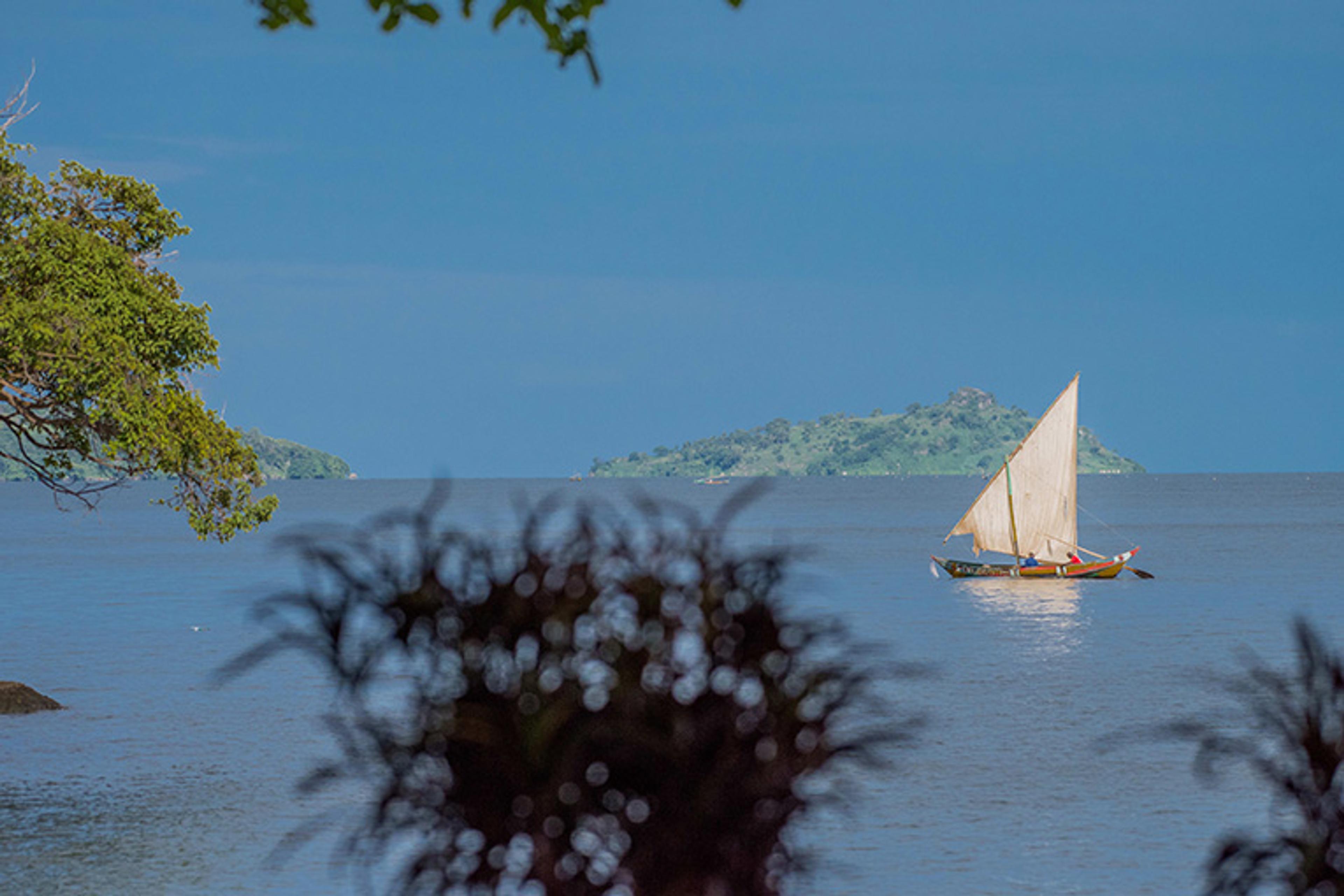 Safari to Mfangano Island