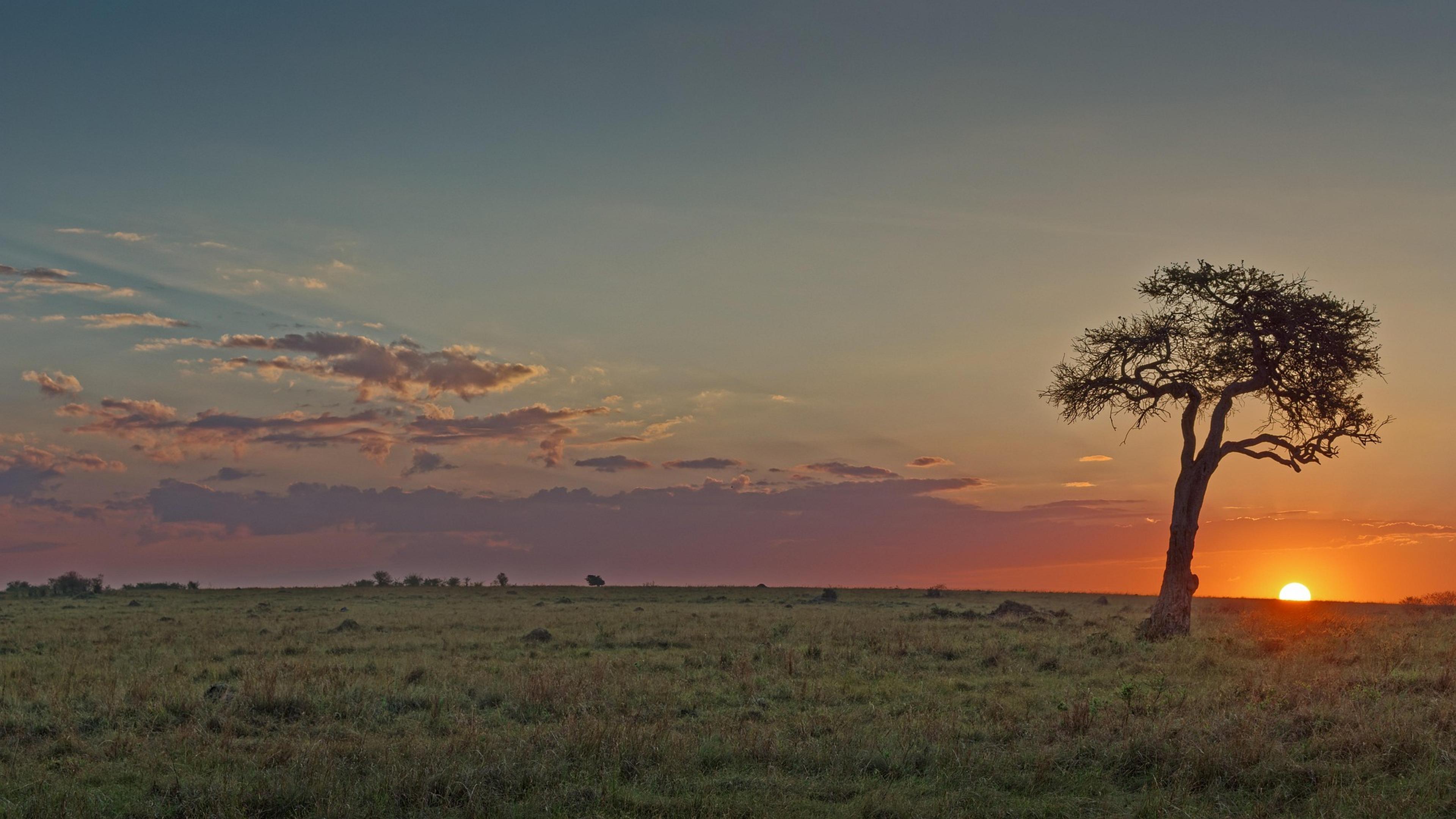 sunrise