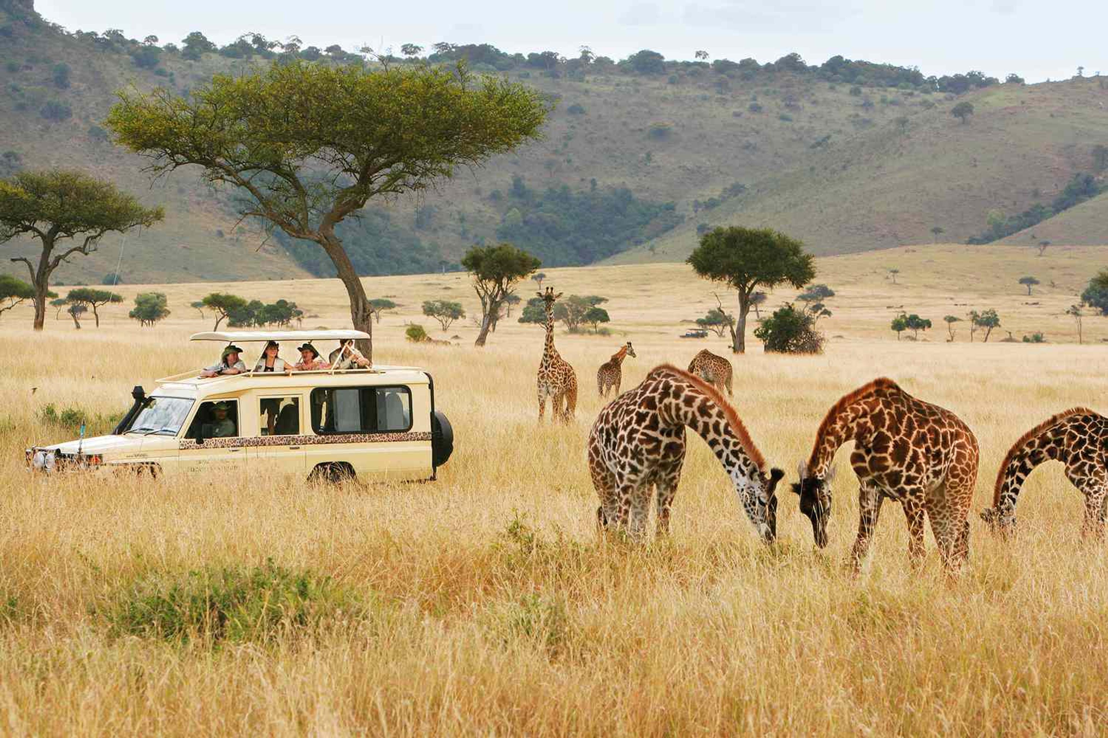 Homepage — Hero slide 1 — Kendirita Tours and Travel
