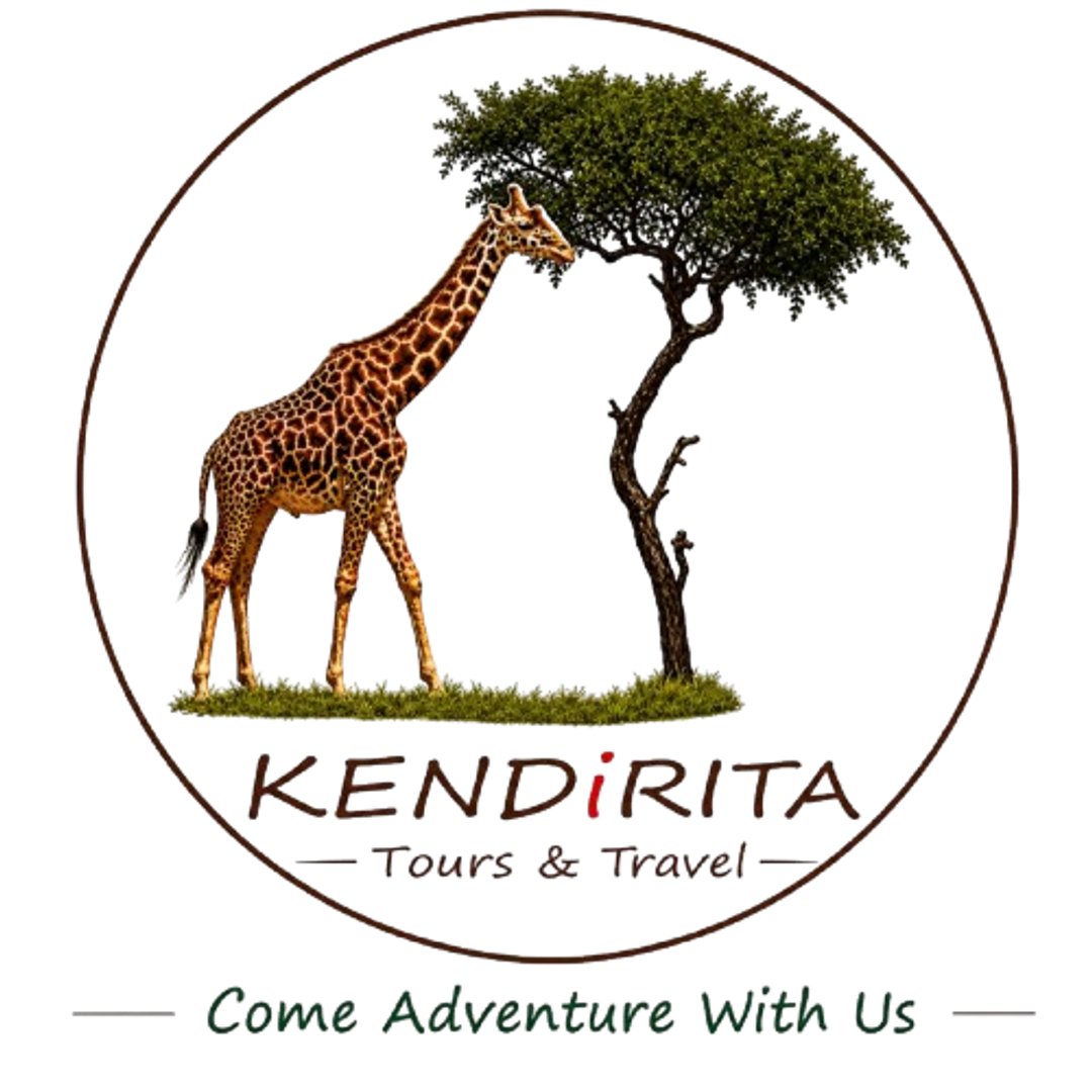 Kendirita Tours and Safaris