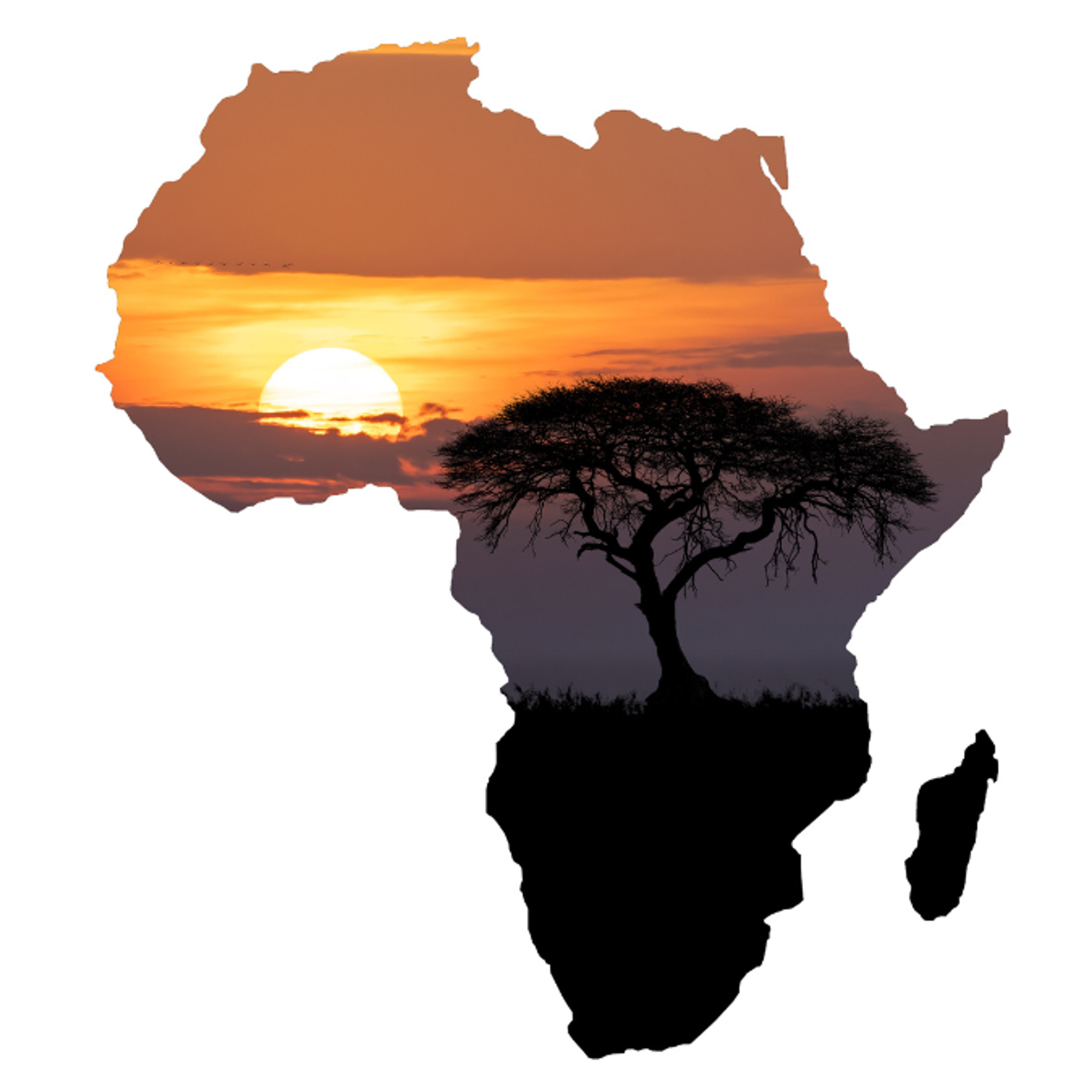 africa