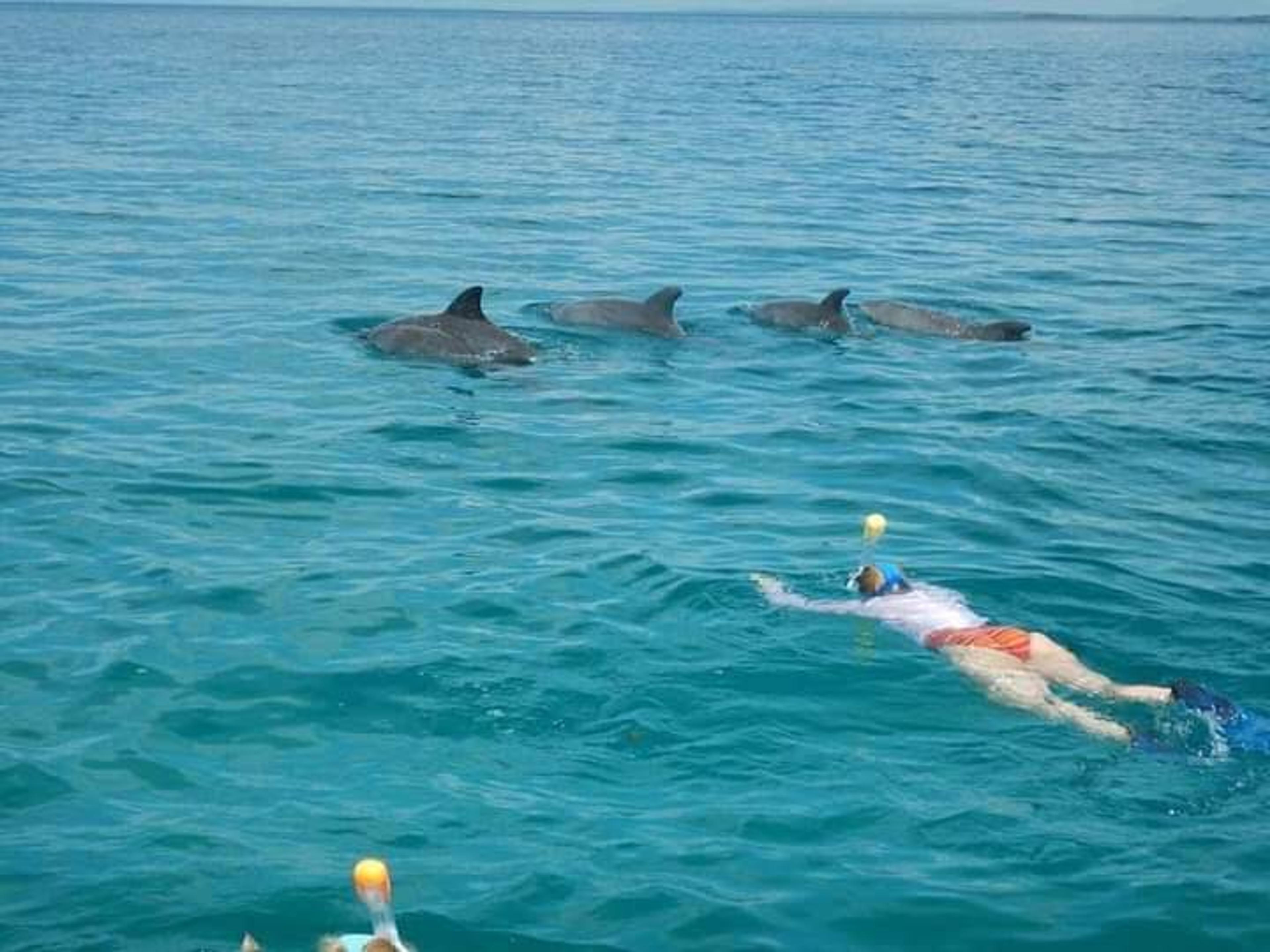 Beach & Coast Holidays — Destination 3 — Kendirita Tours and Travel