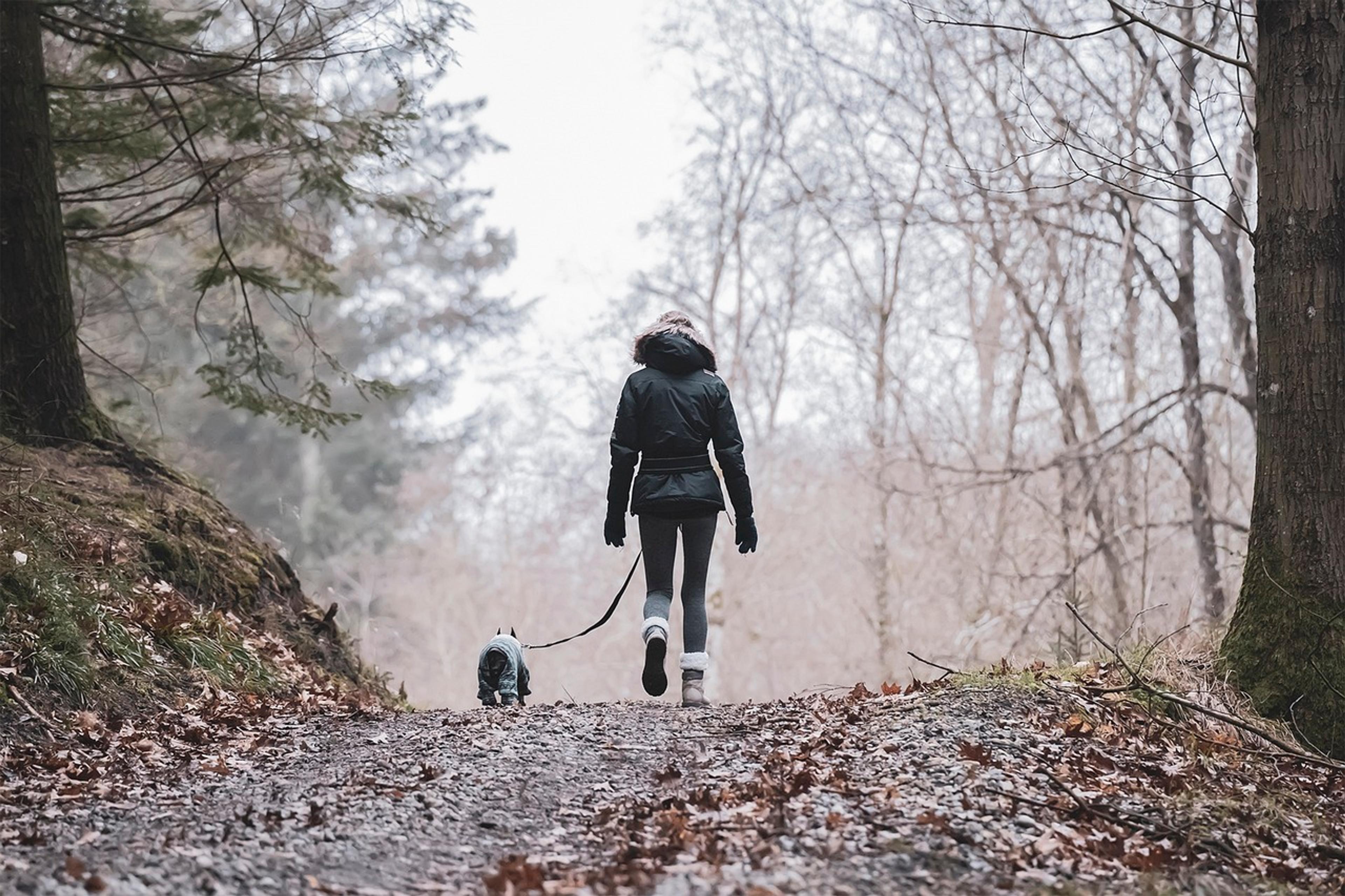 hiking