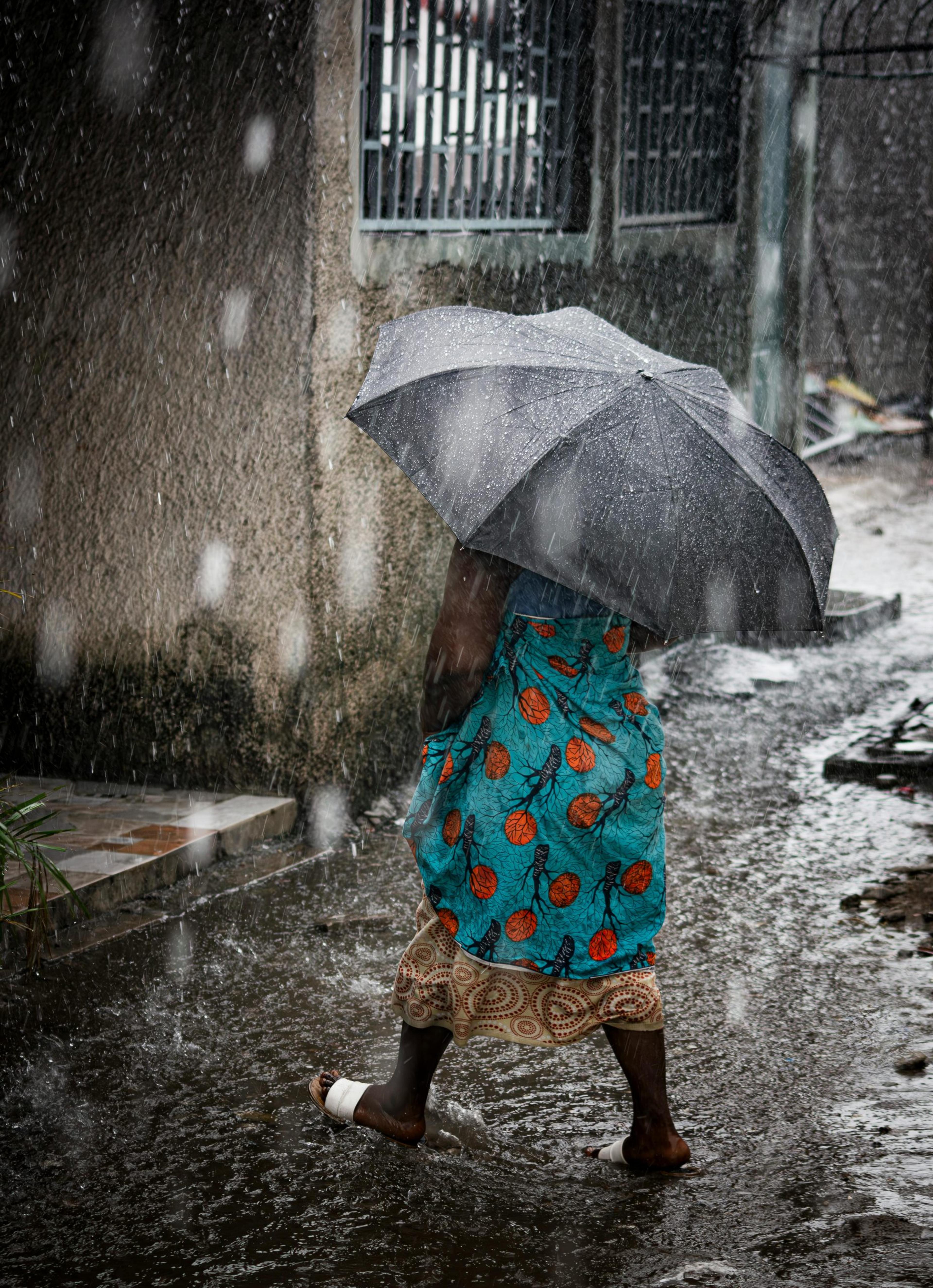 umbrella