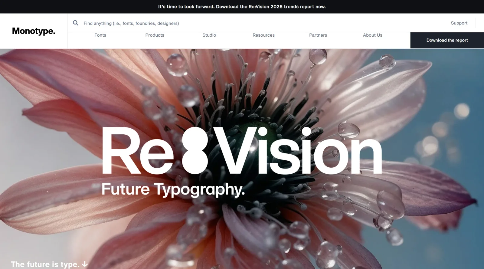 Type Trends screenshot