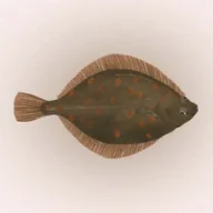 Plaiceholder