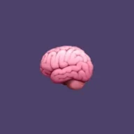 The Design Quiz