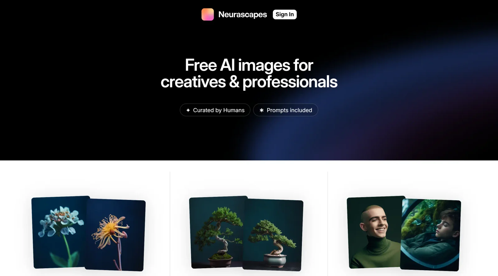 Neurascapes screenshot