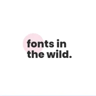 Fonts in the wild