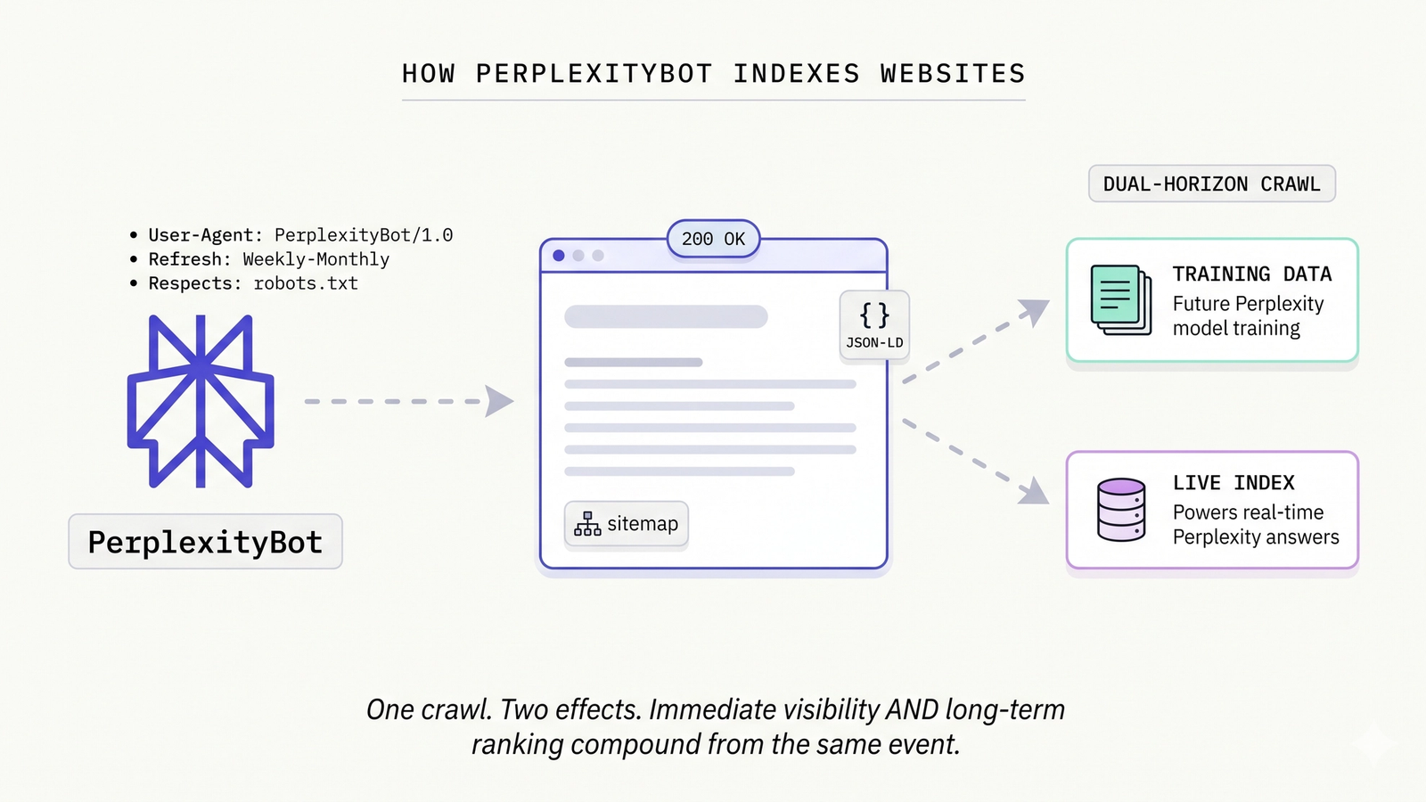 A horizontal flow diagram showing PerplexityBot on the left with metadata (User-Agent PerplexityBot/1.0, Weekly-Monthly refresh, respects robots.txt) crawling a stylized website with 200 OK badge, then dual arrows fanning to two output destinations — Training Data and Live Index — labeled DUAL-HORIZON CRAWL